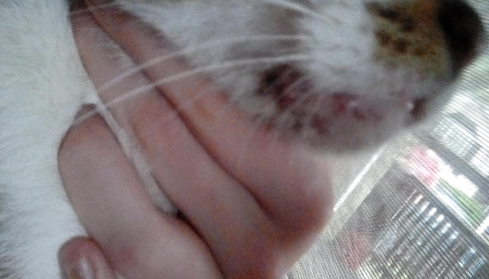 Question details sensitive content