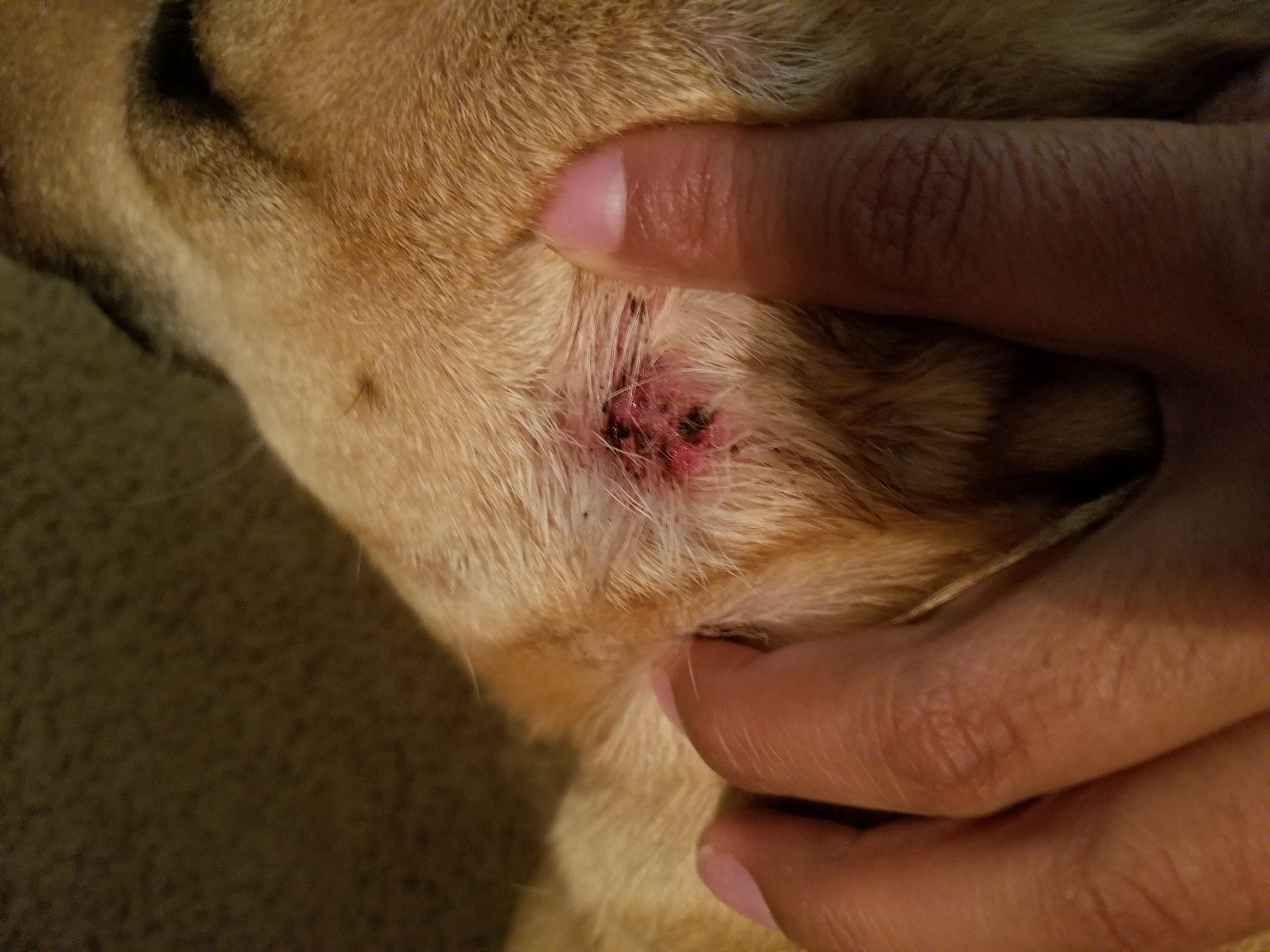 Question details sensitive content