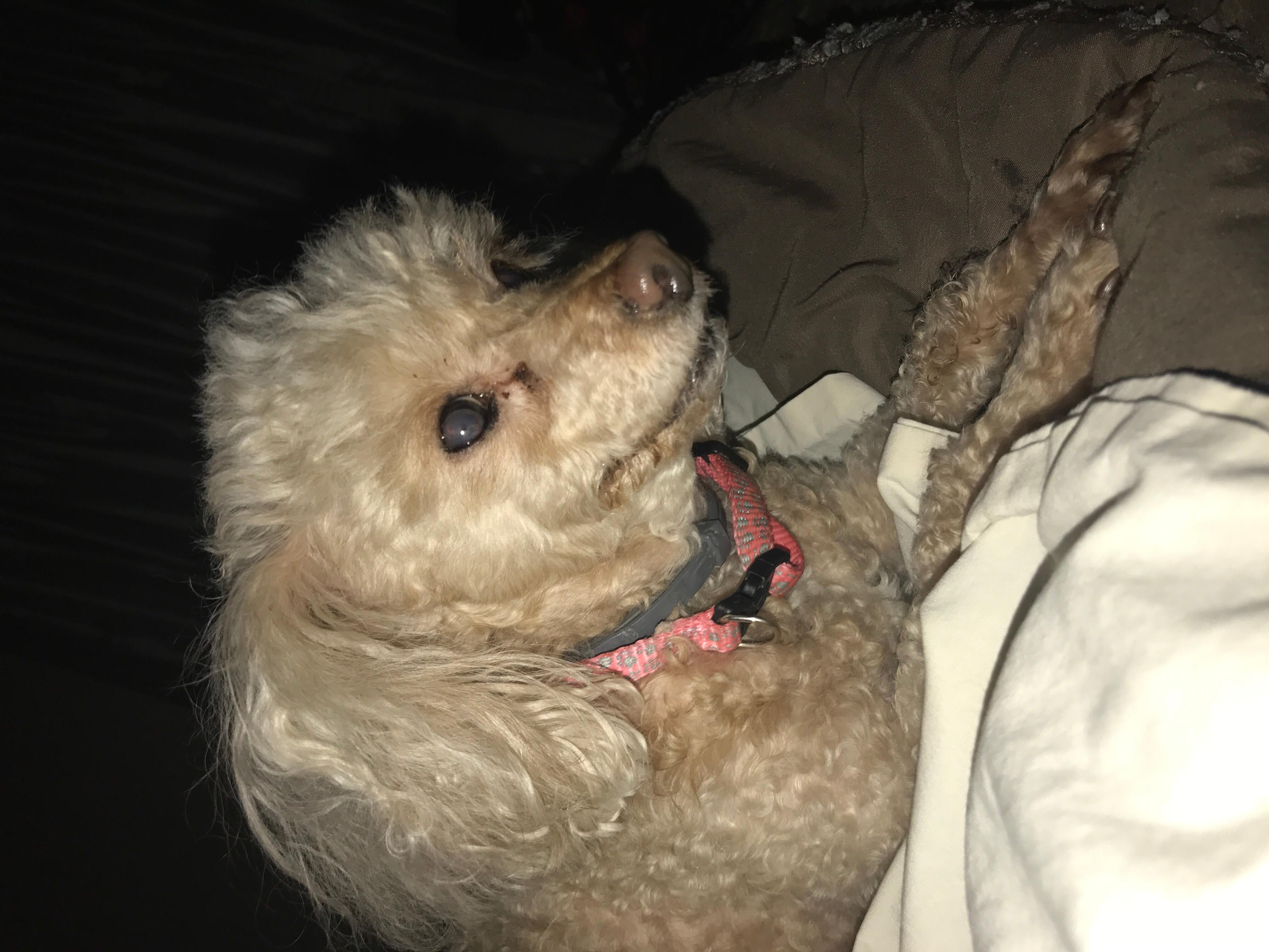 Question details sensitive content