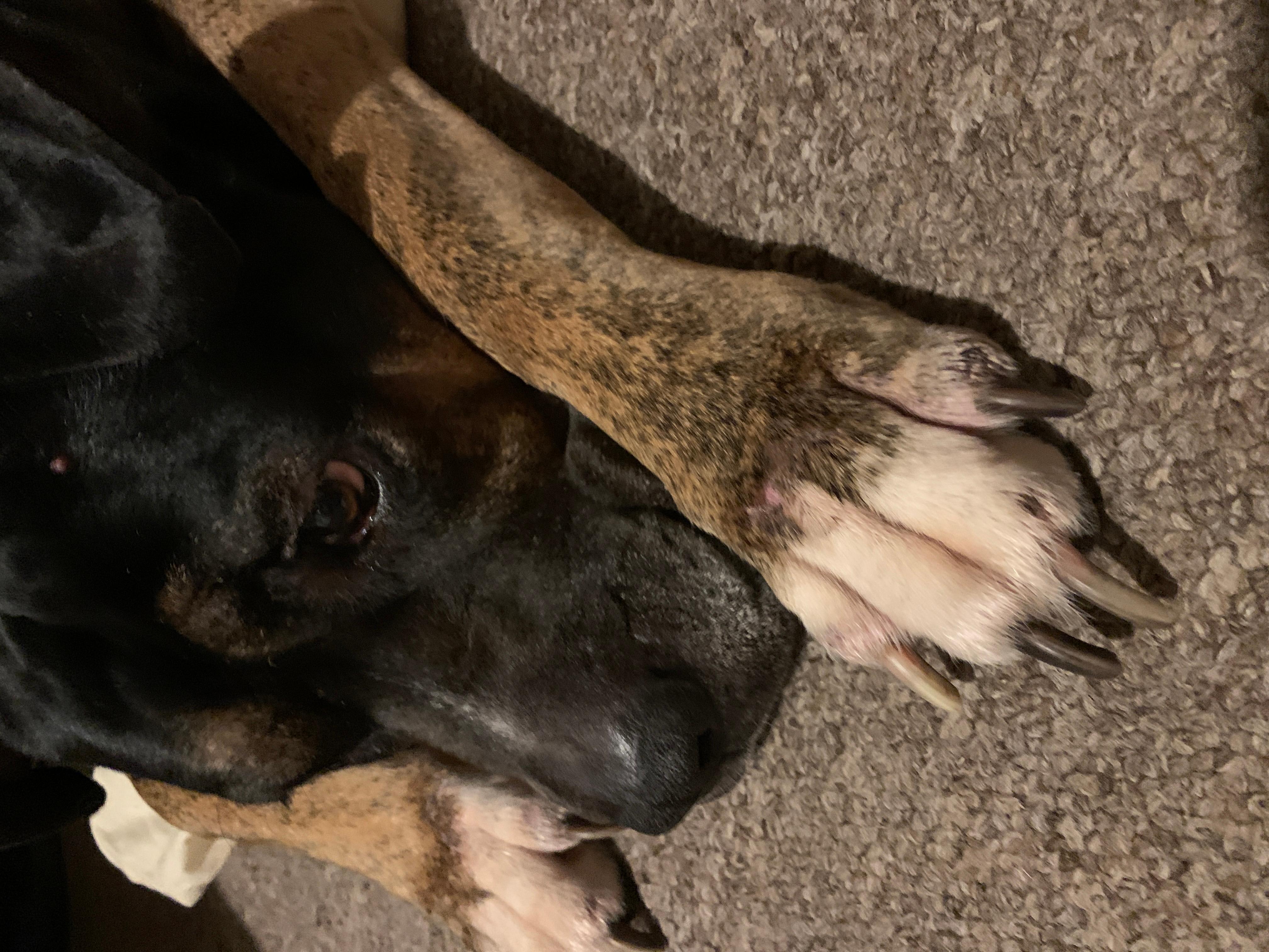 Question details sensitive content