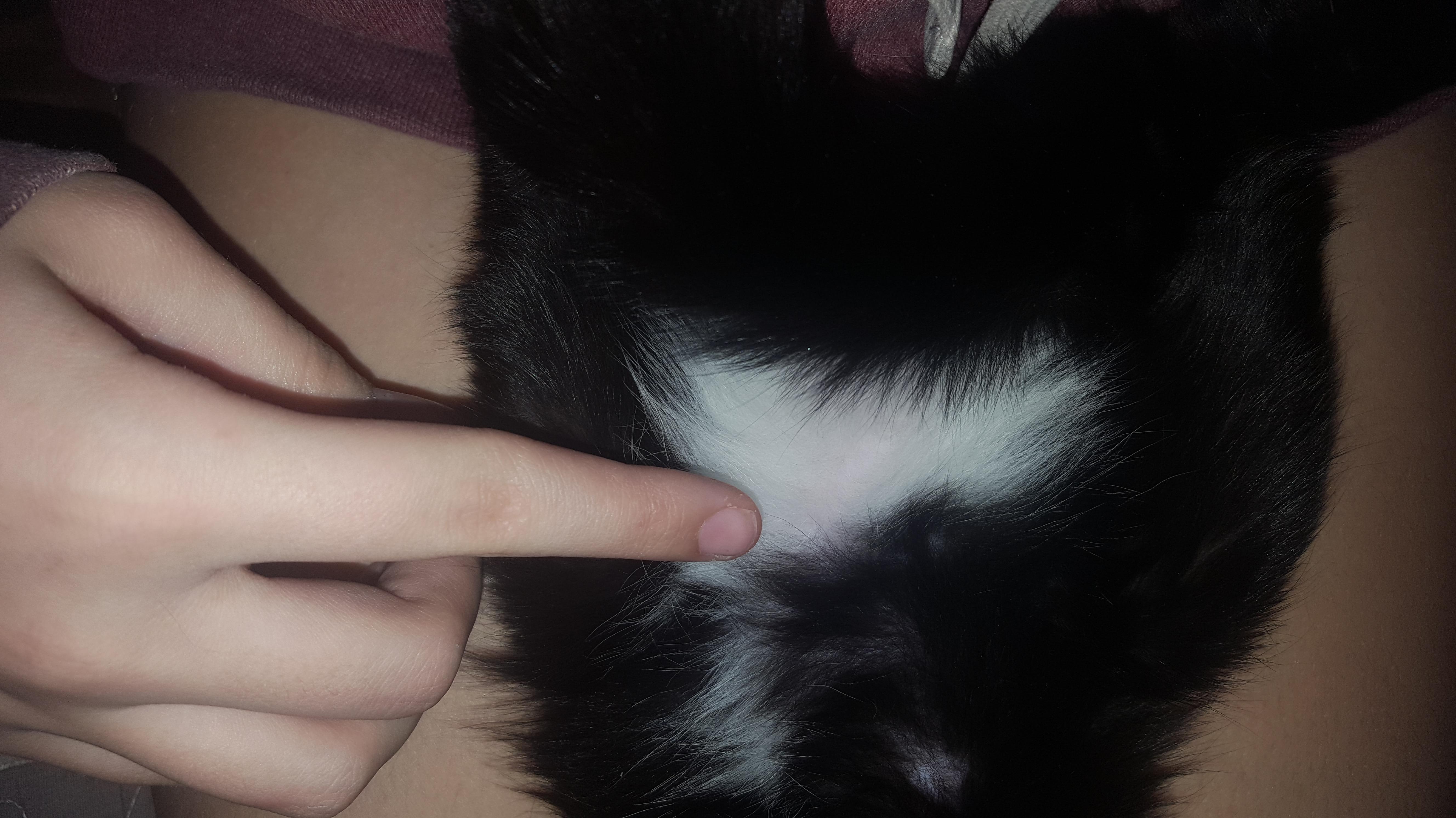 Question details sensitive content