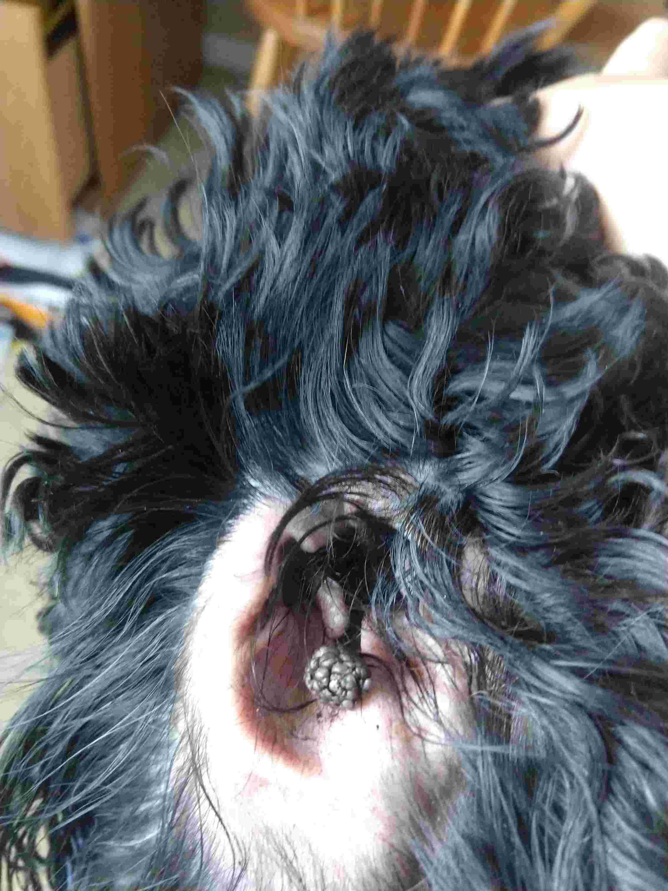 Question details sensitive content