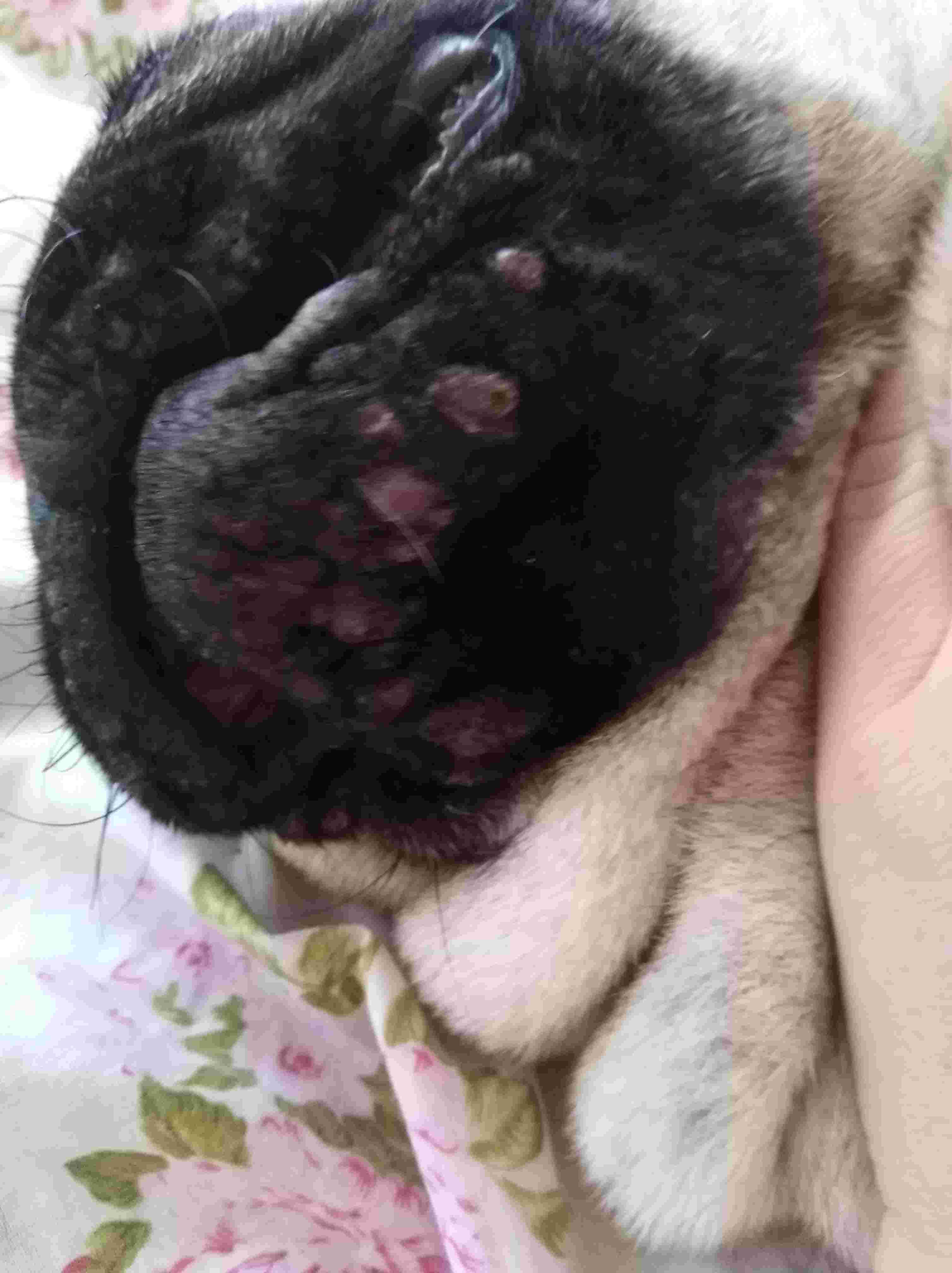 Question details sensitive content