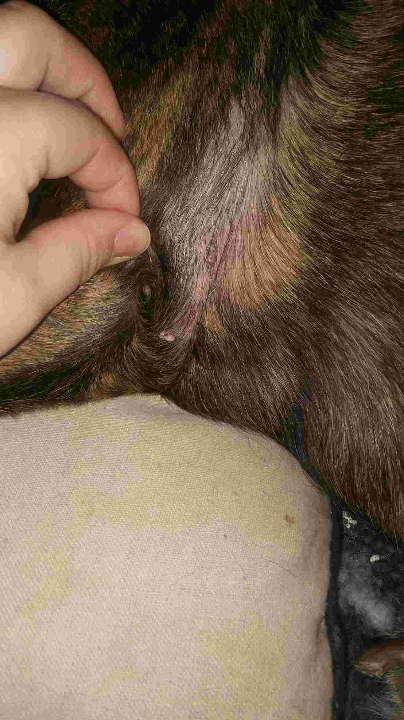 Question details sensitive content