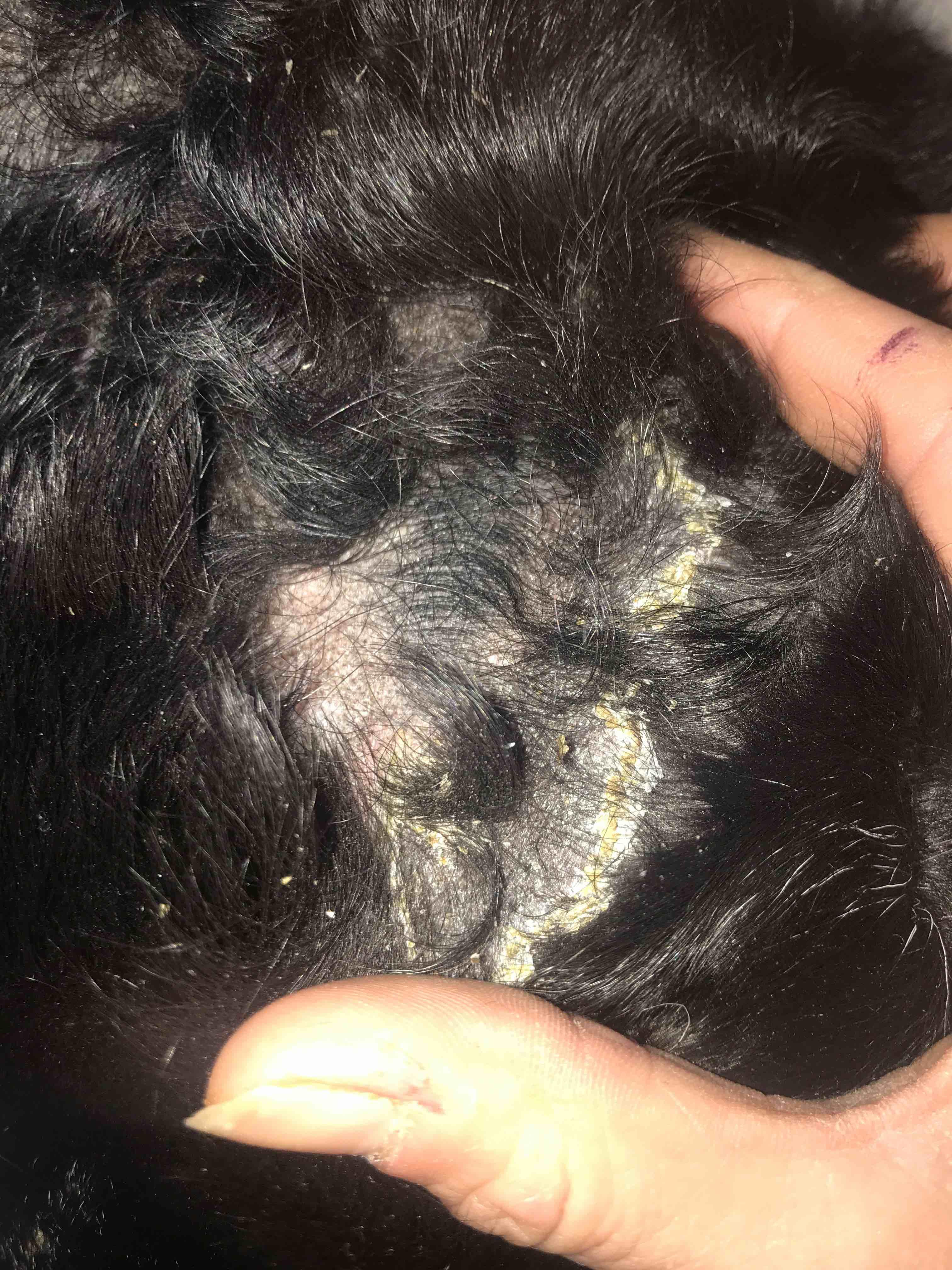 Question details sensitive content