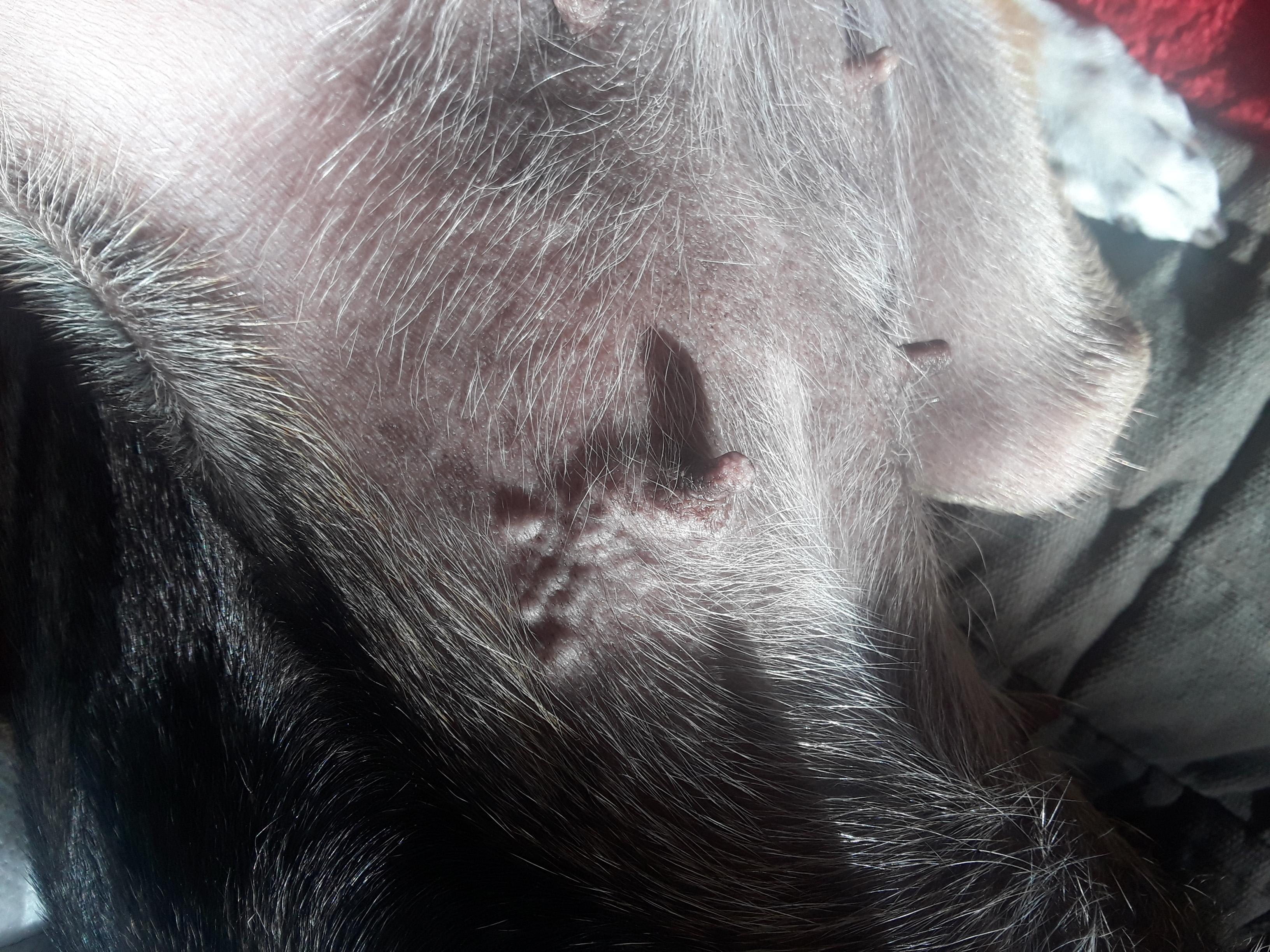 Question details sensitive content