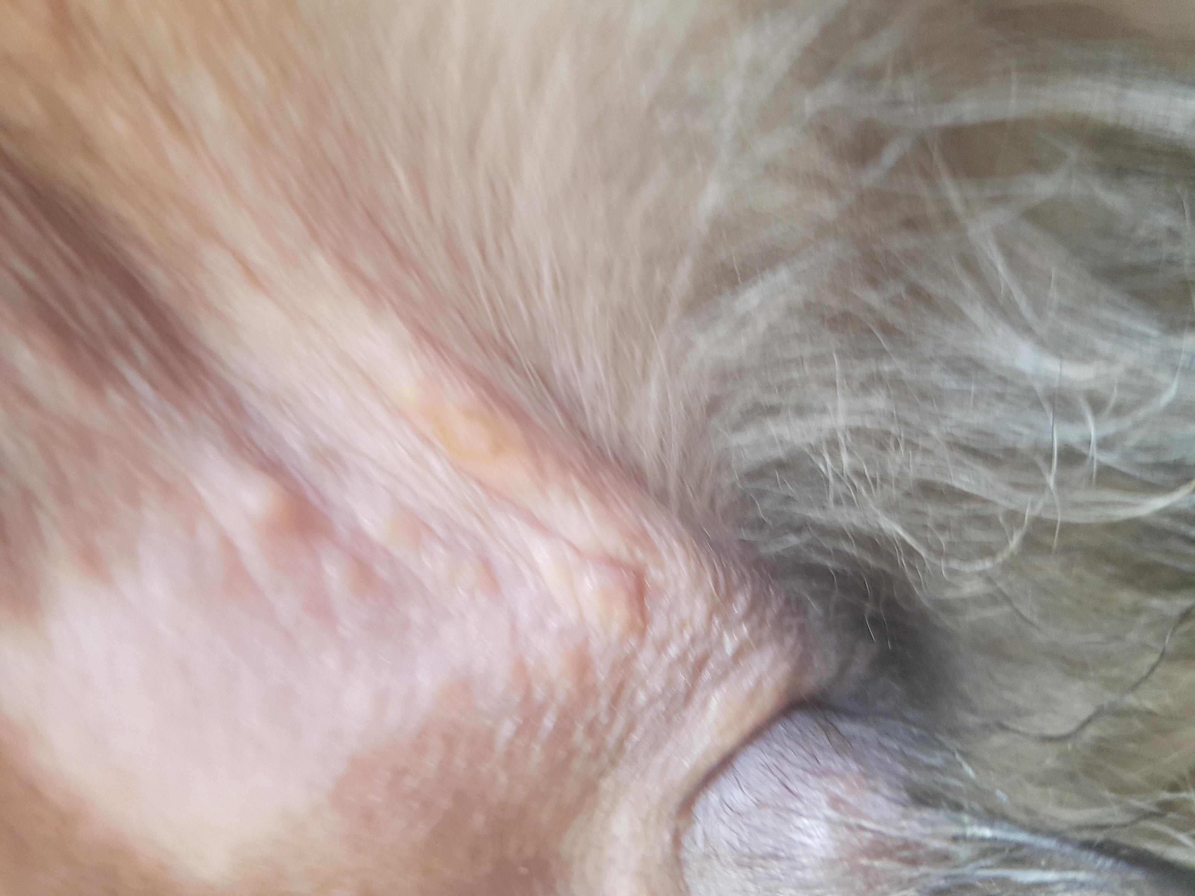 Question details sensitive content