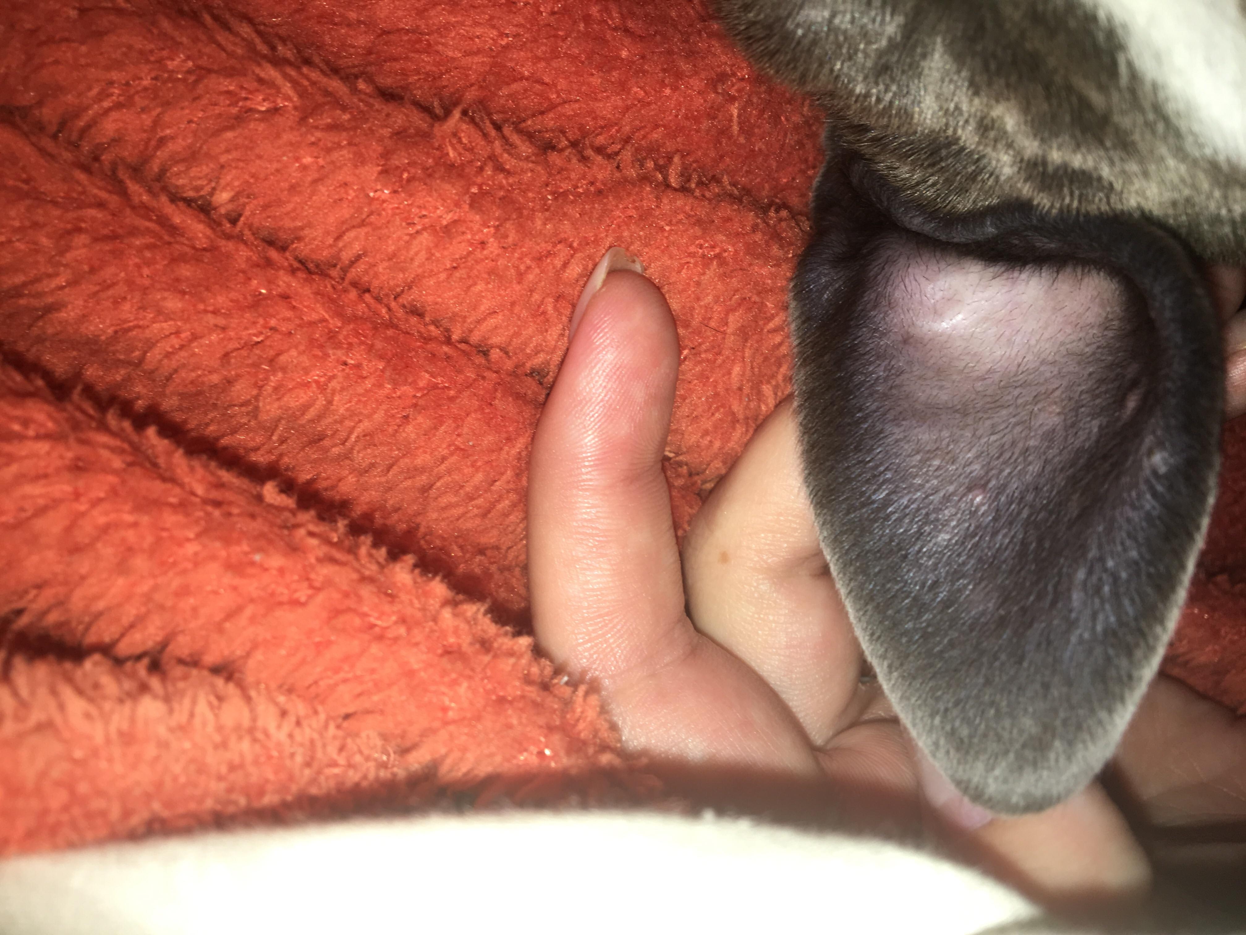 Question details sensitive content