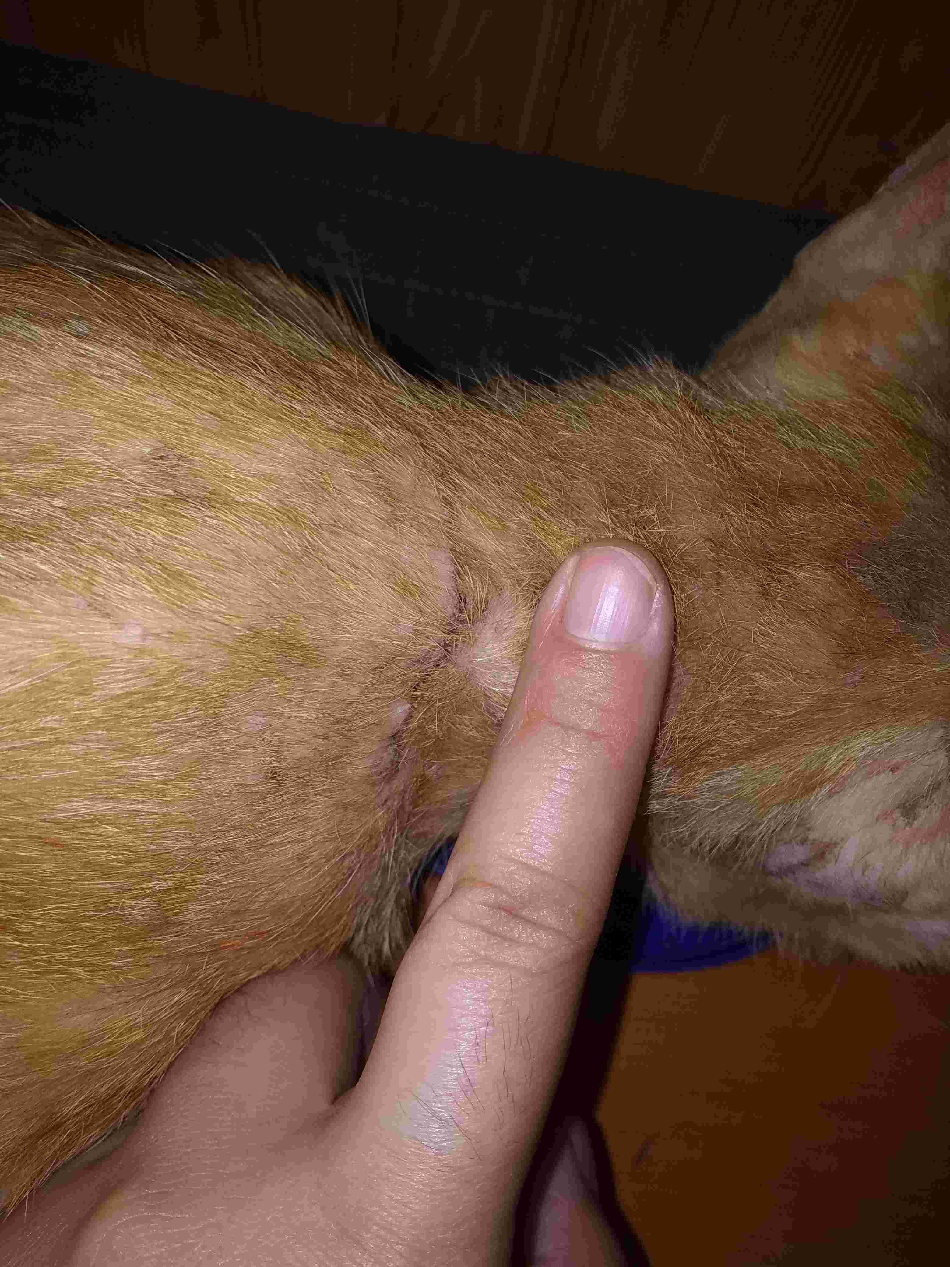 Question details sensitive content