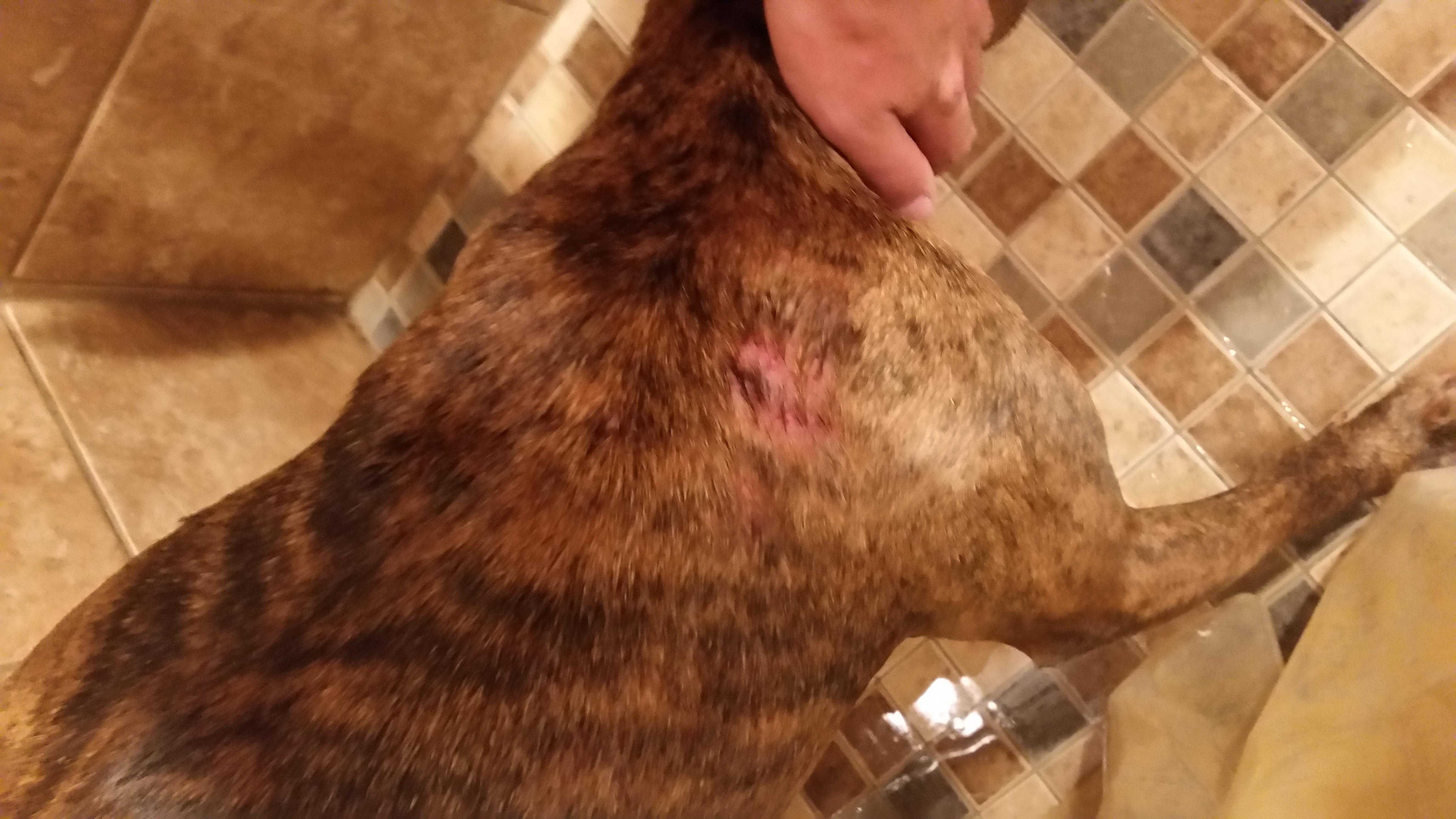 Question details sensitive content