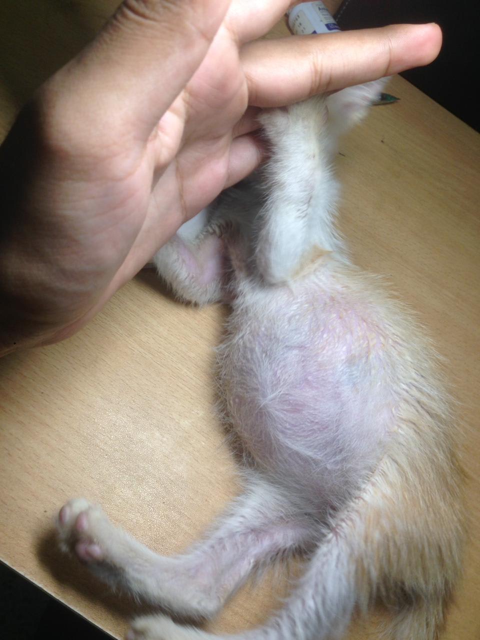 Question details sensitive content