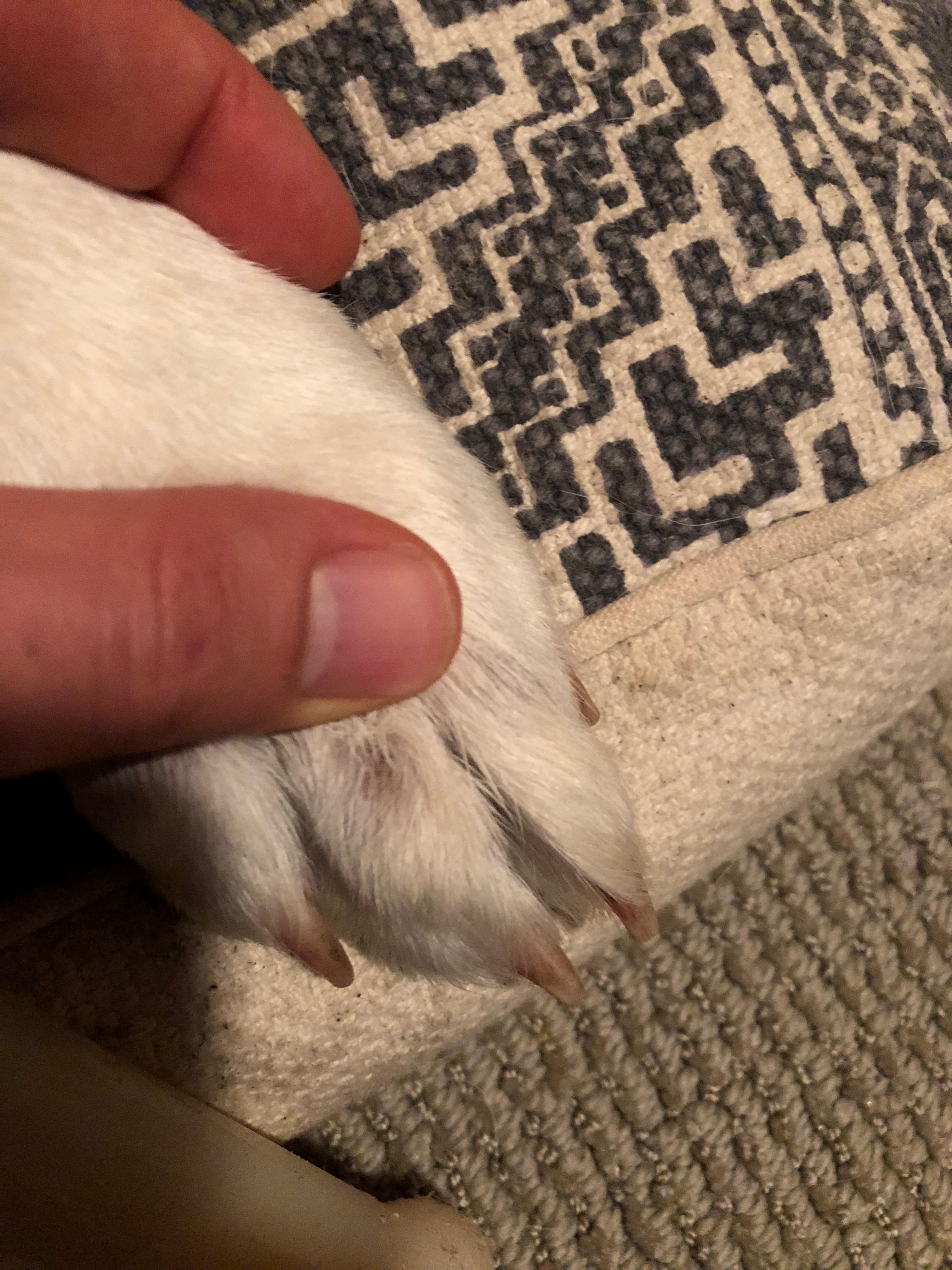 Question details sensitive content