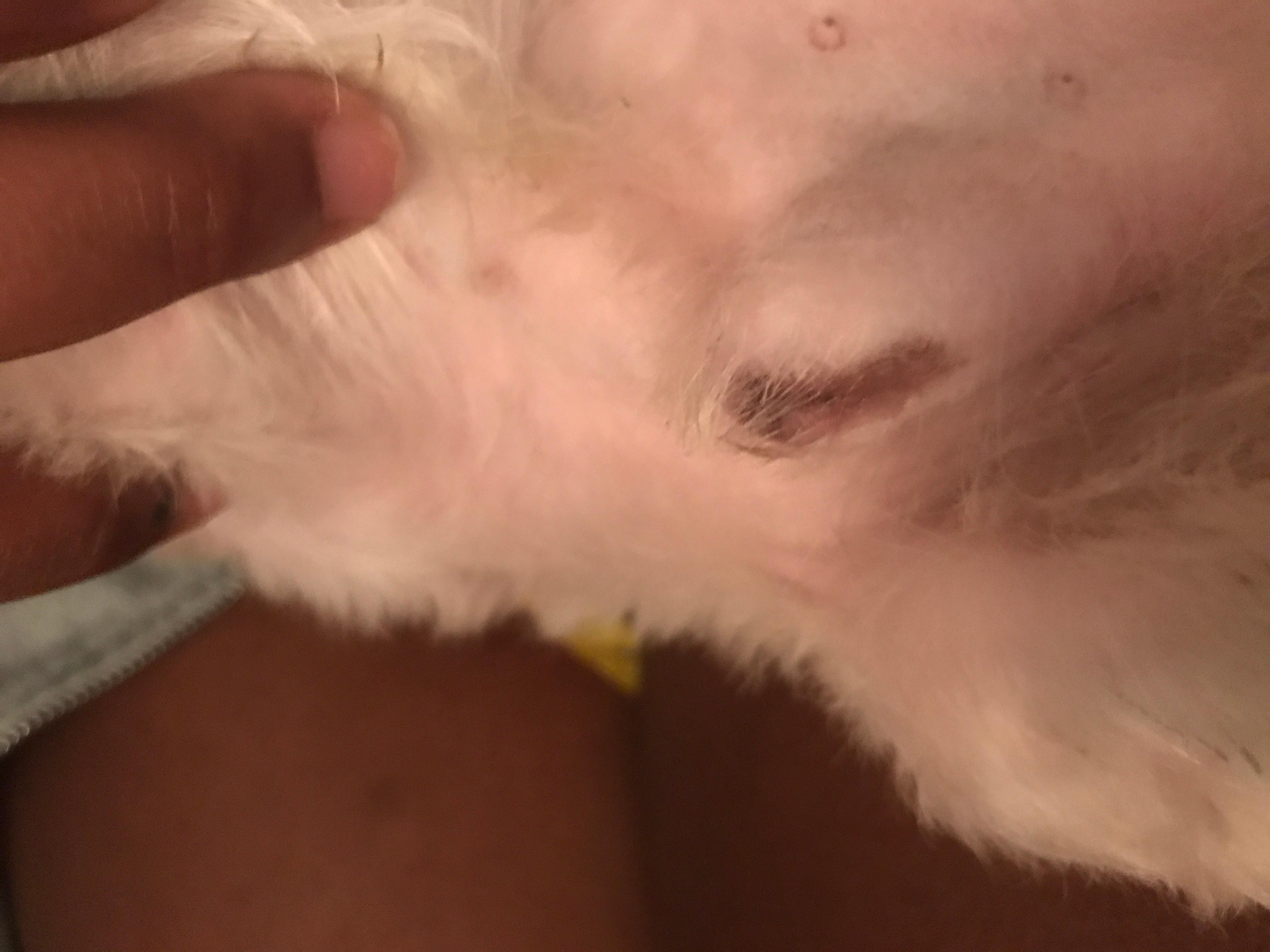 Question details sensitive content