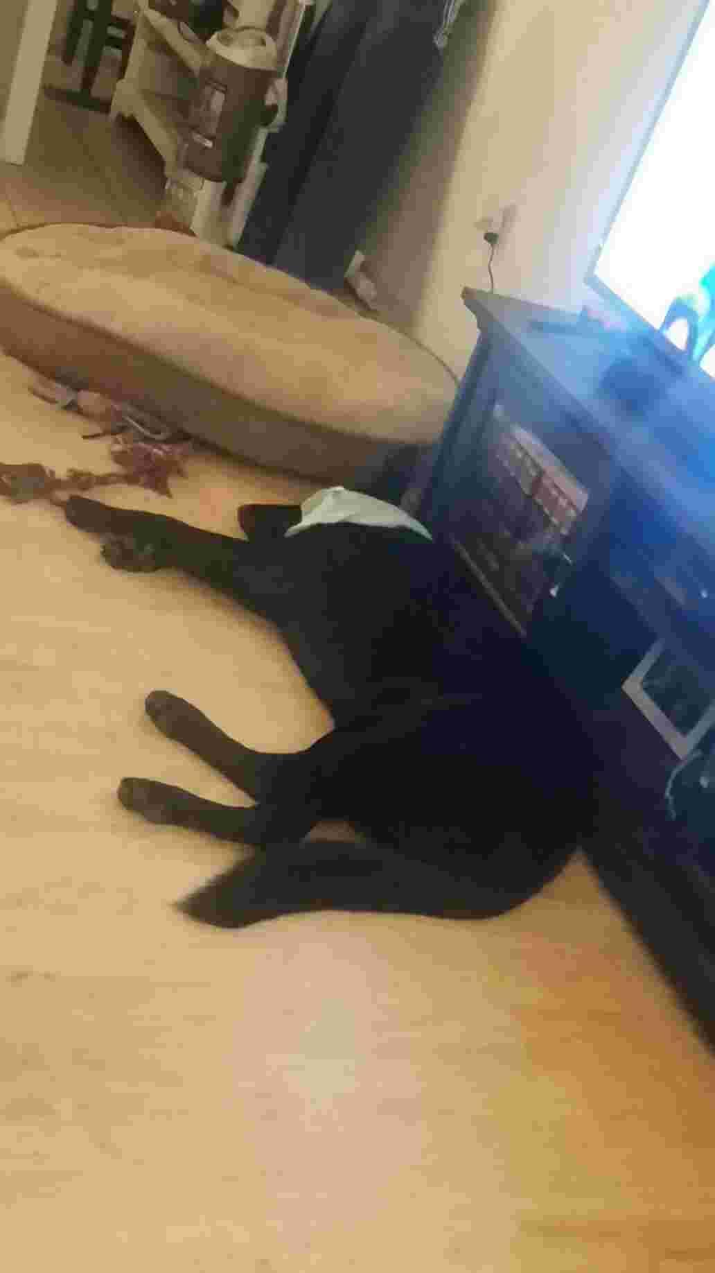 Question details sensitive content