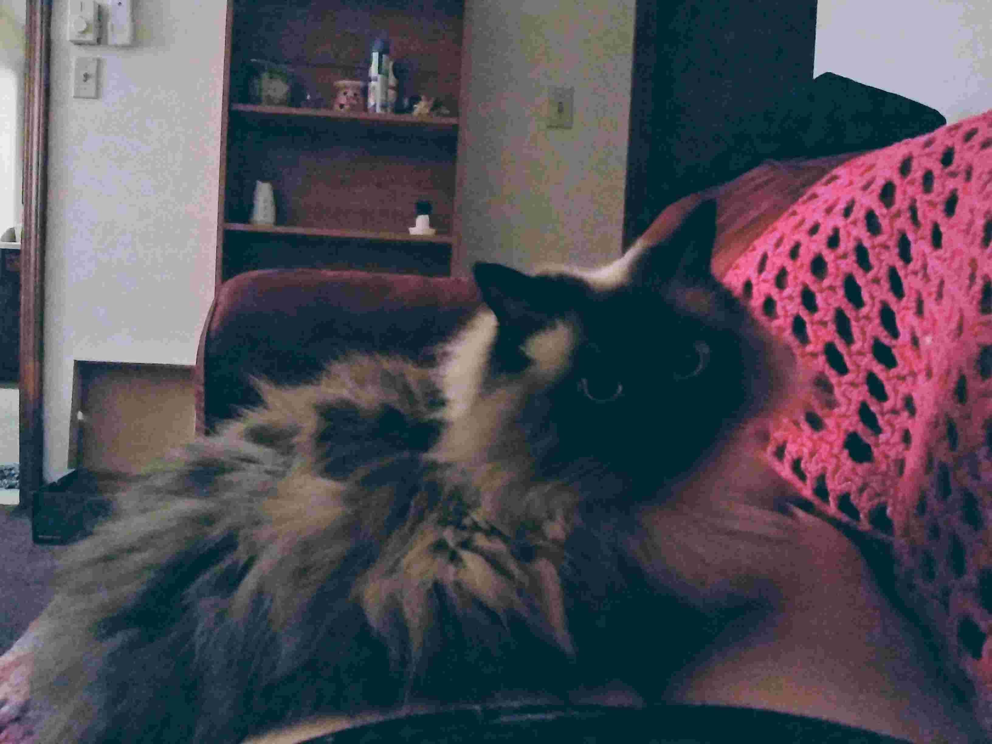 Question details sensitive content