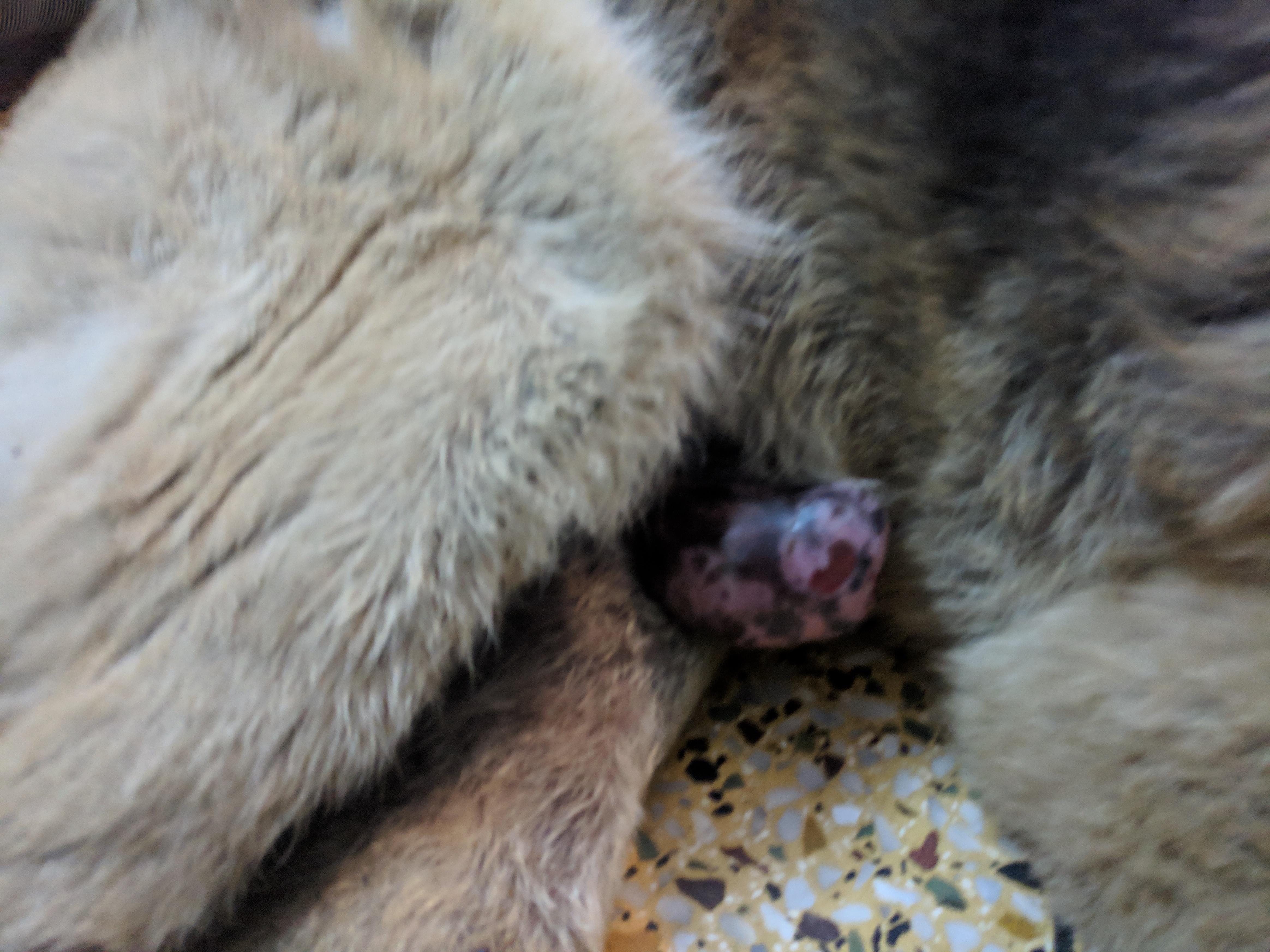 Question details sensitive content