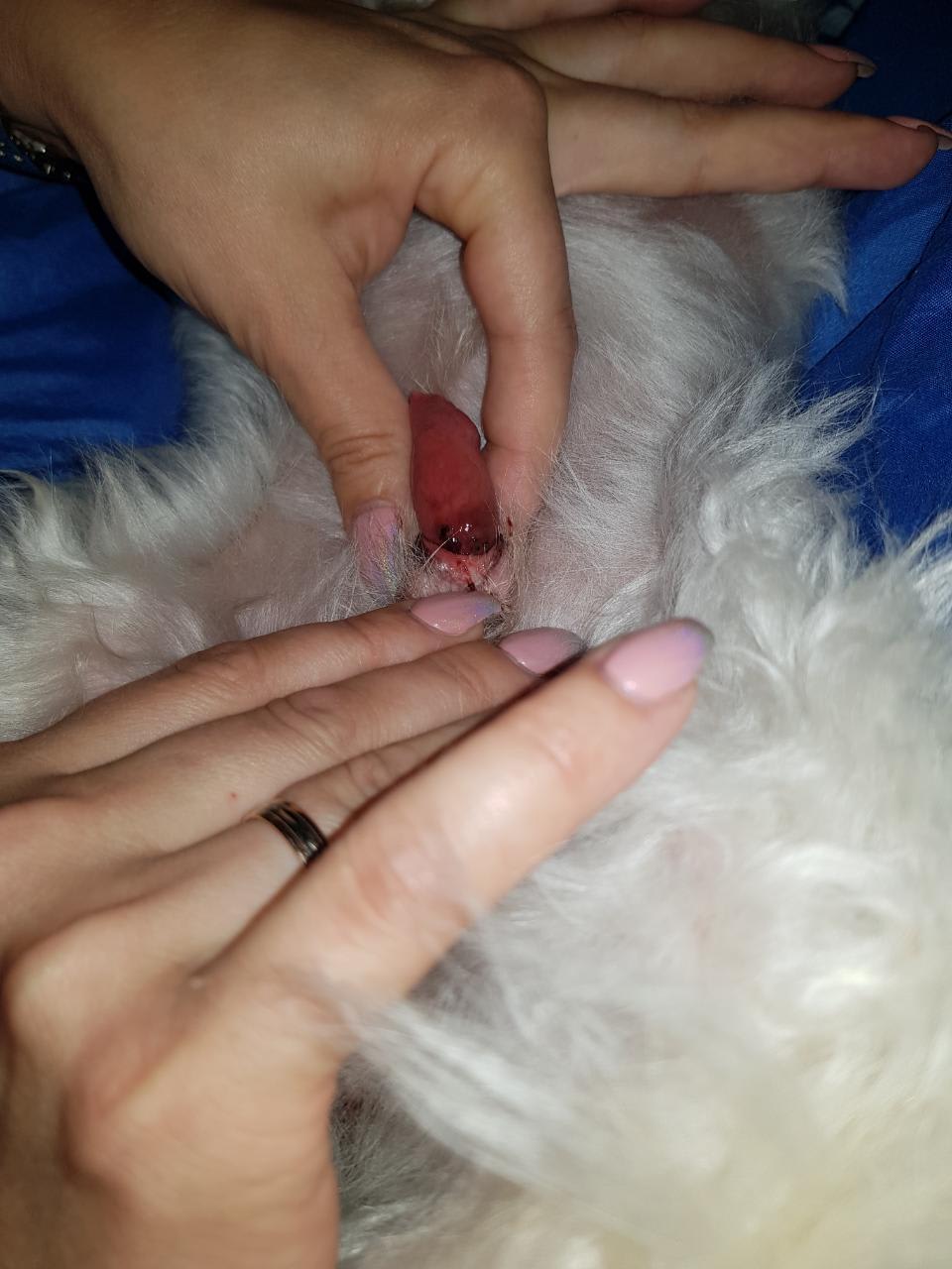 Question details sensitive content