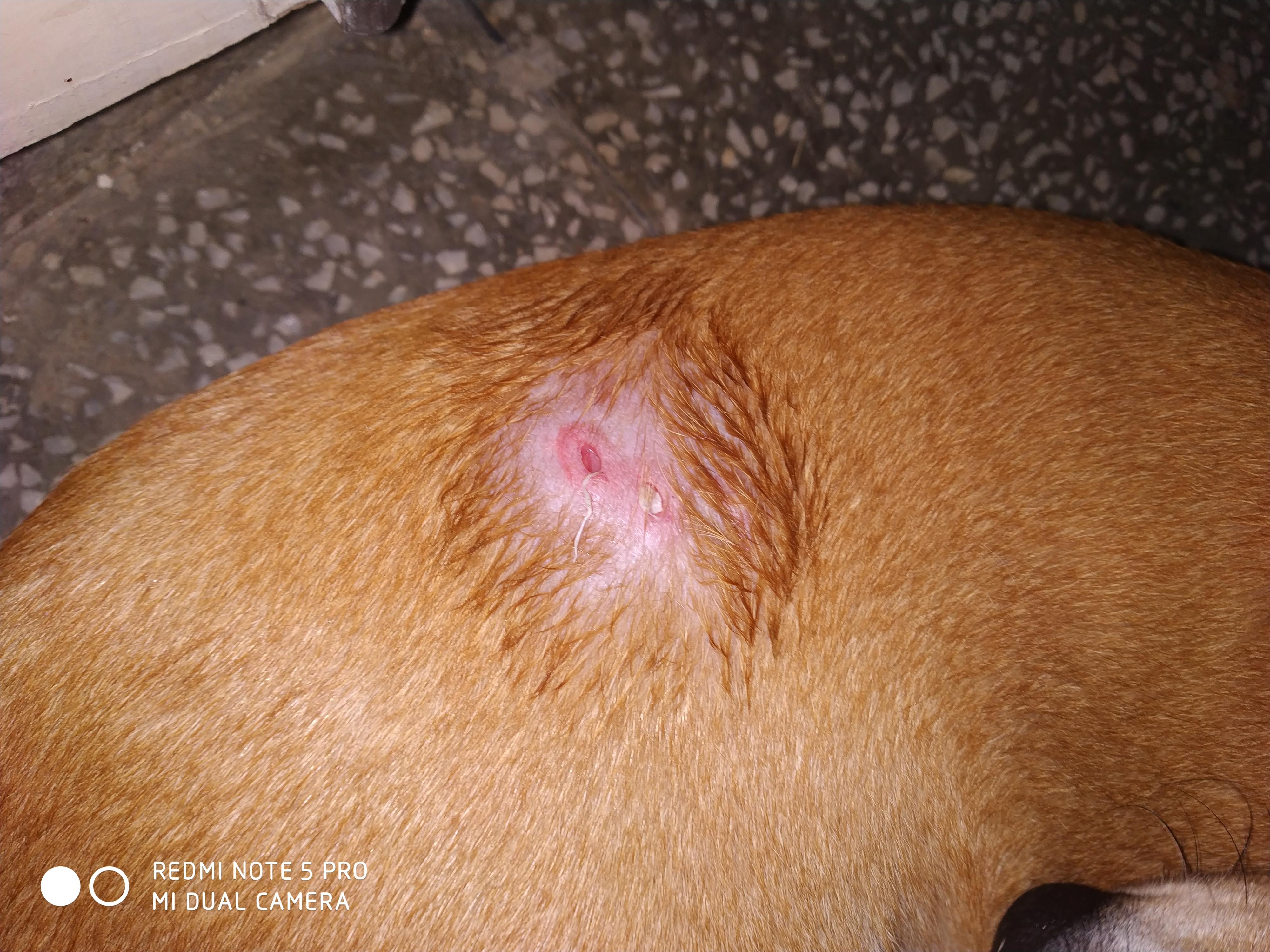 Question details sensitive content