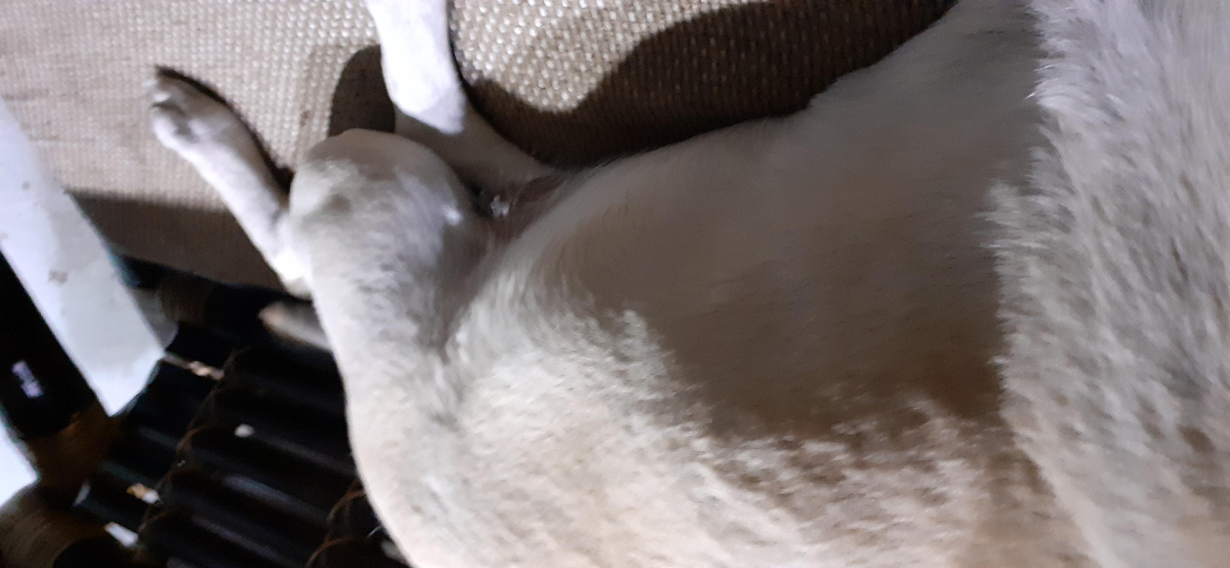 Question details sensitive content