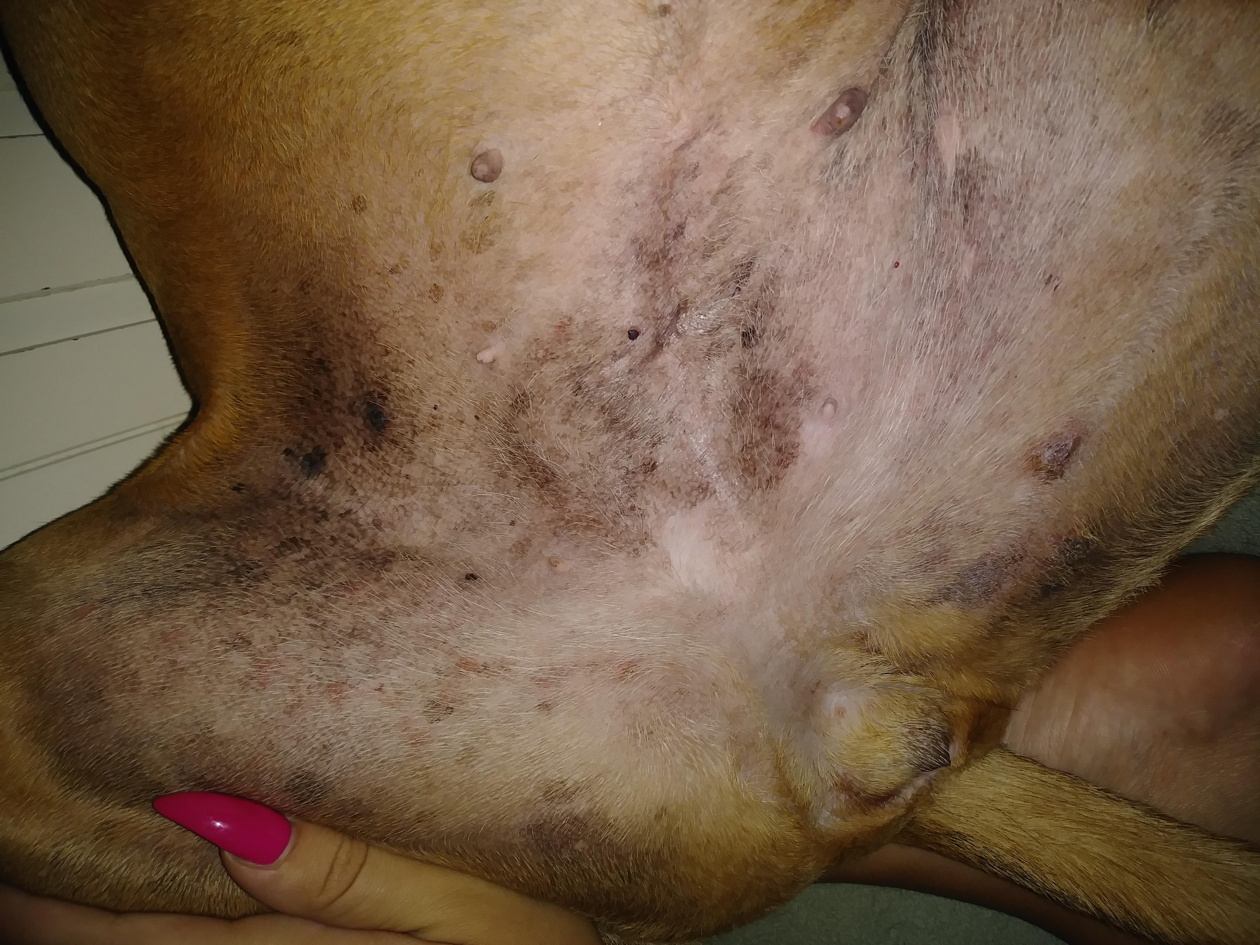 Question details sensitive content