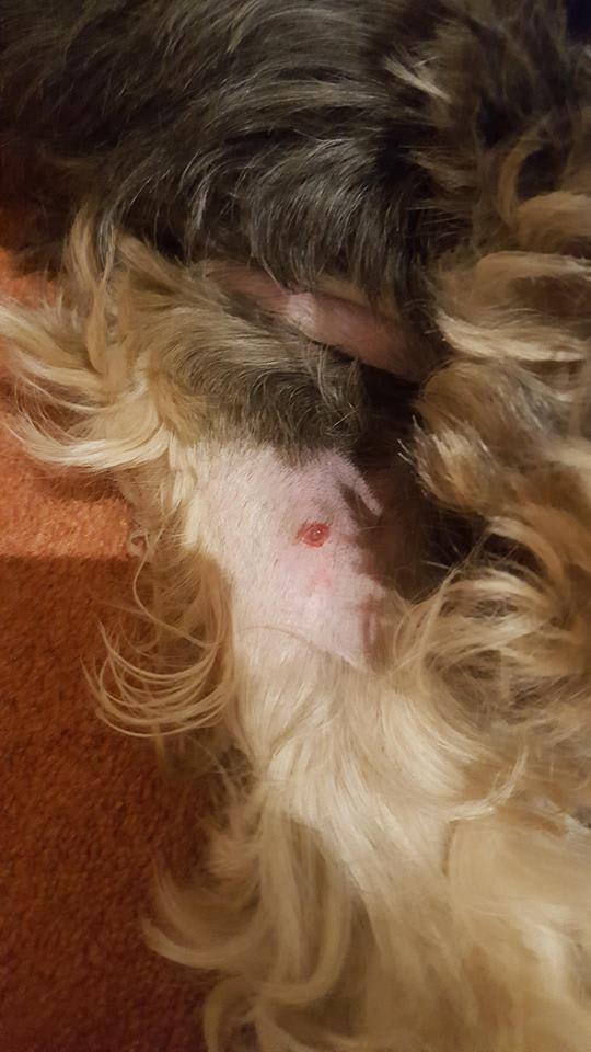 Question details sensitive content