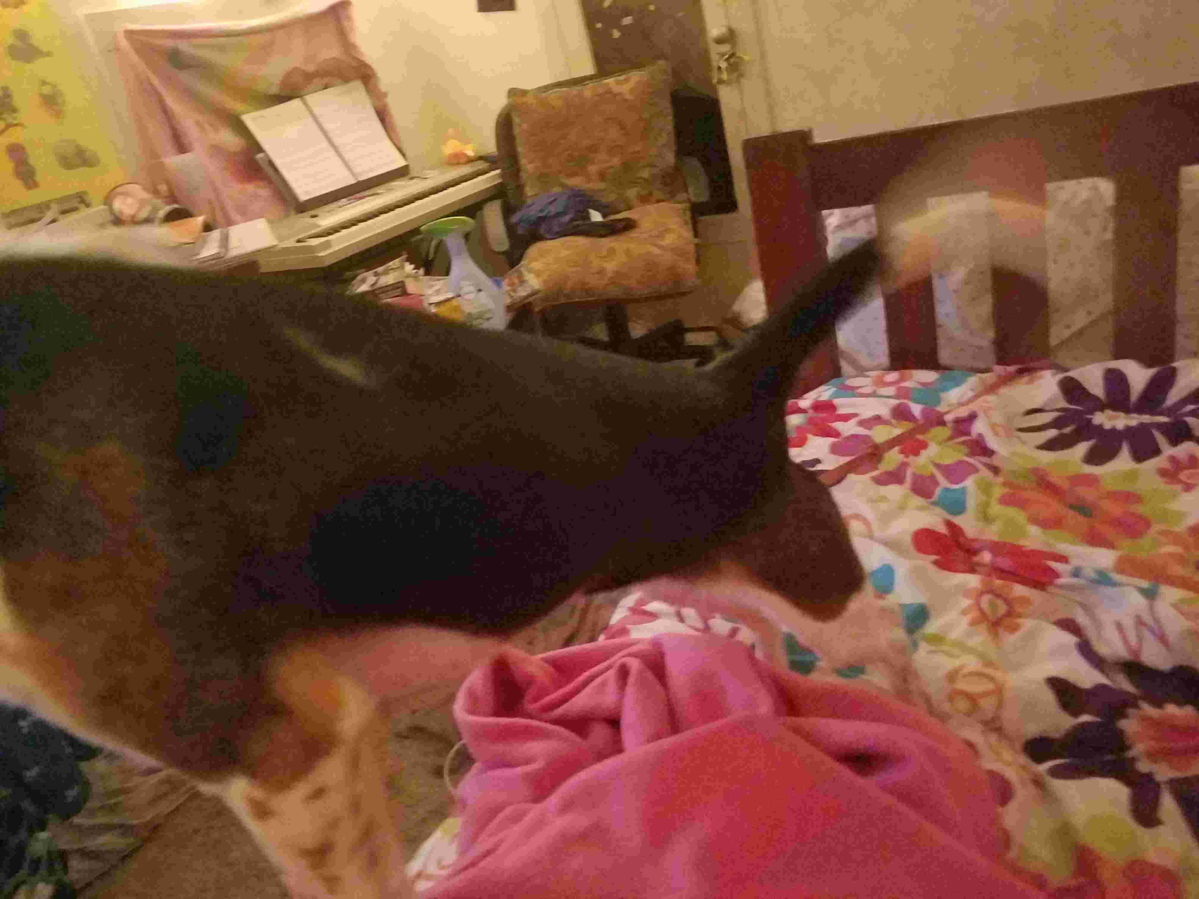 Question details sensitive content