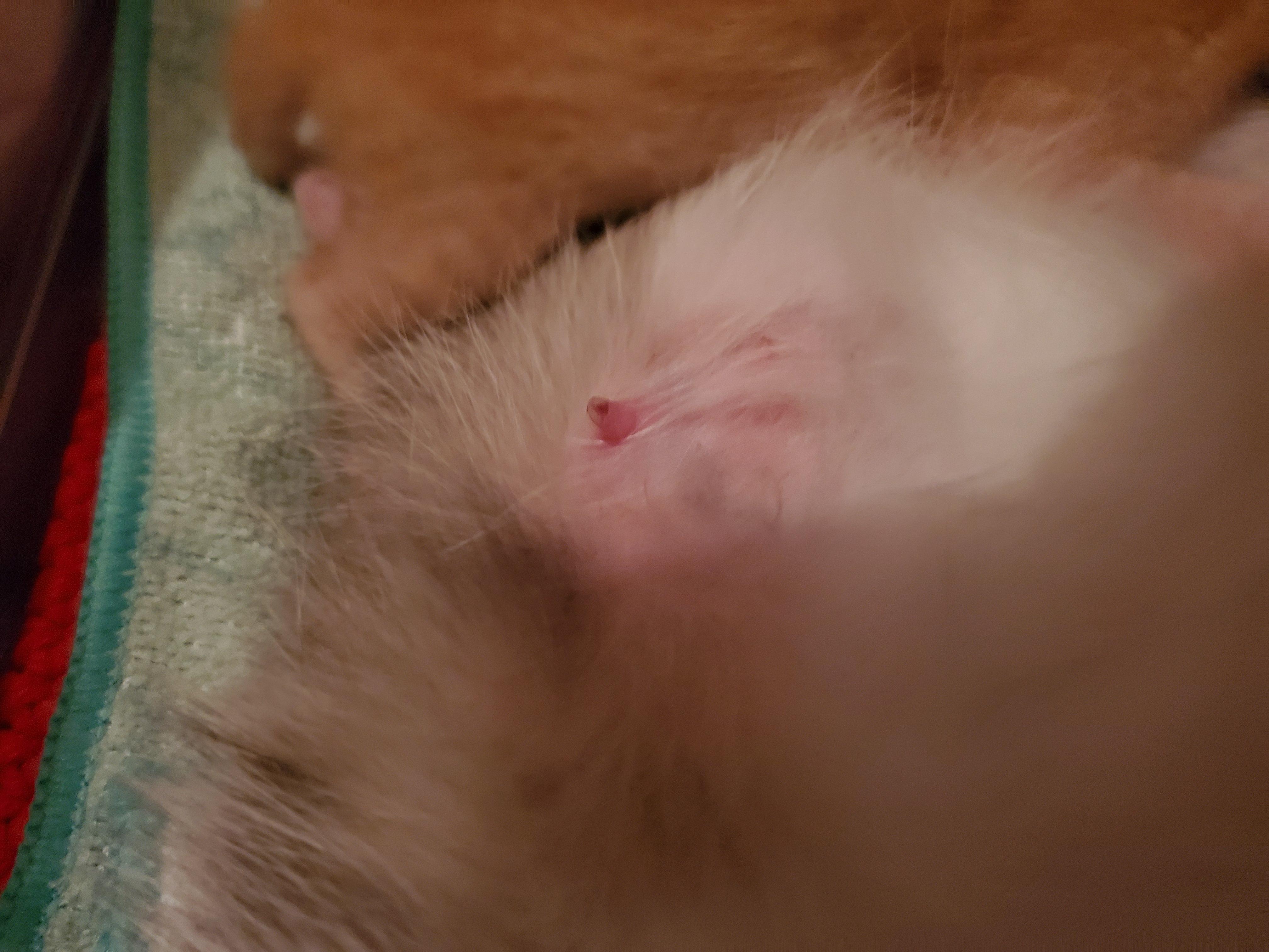 Question details sensitive content