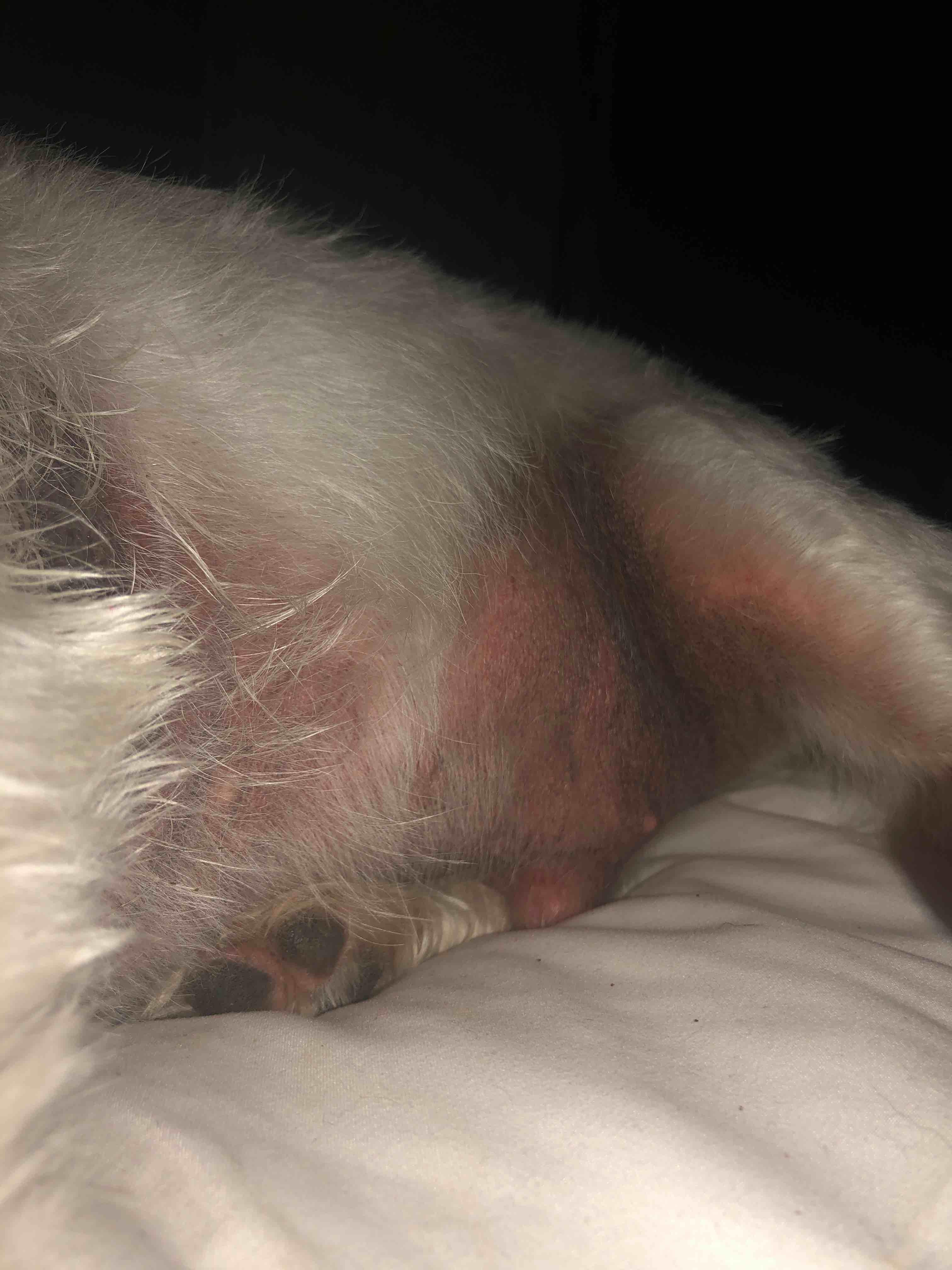 Question details sensitive content