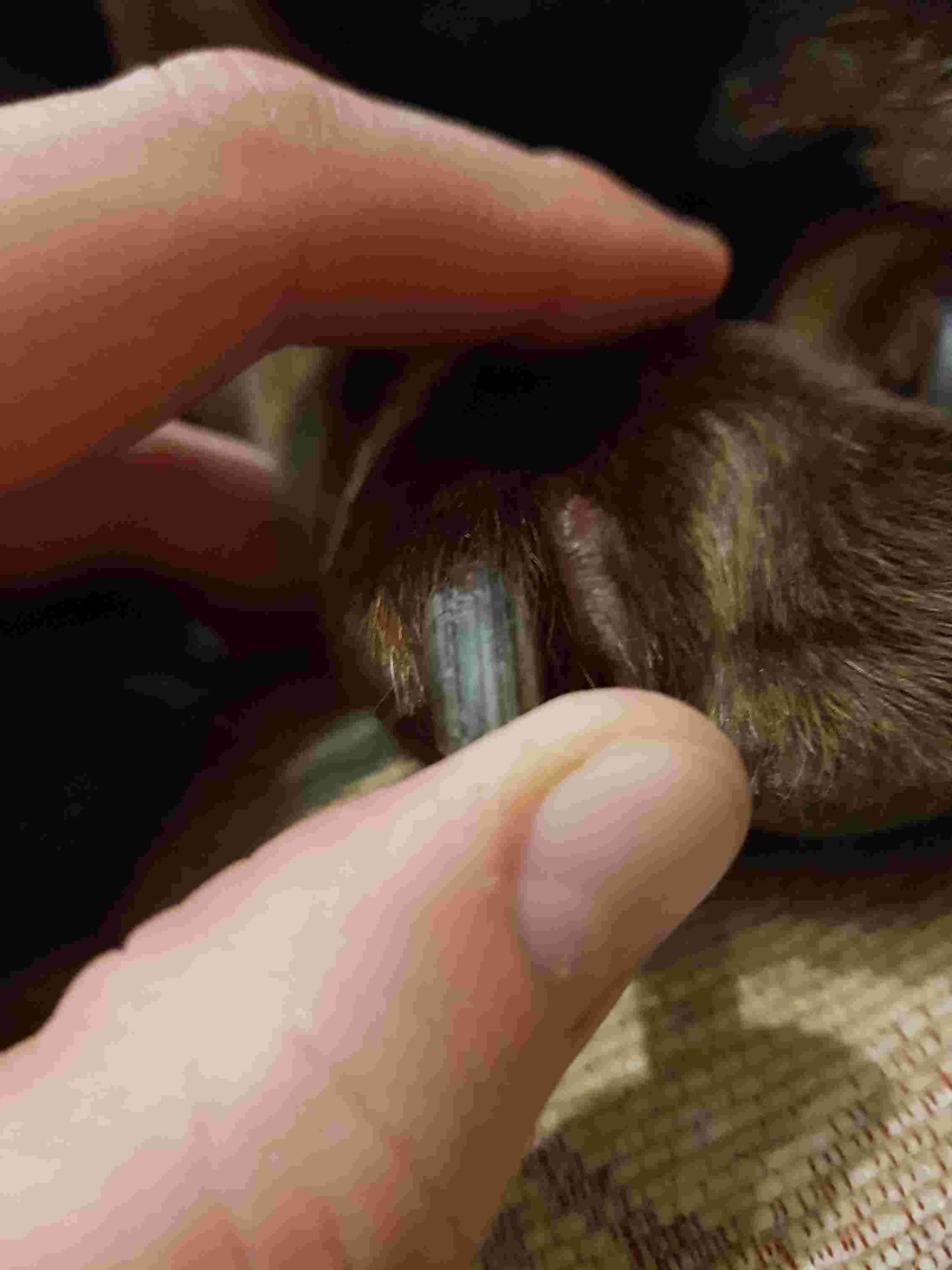 Question details sensitive content