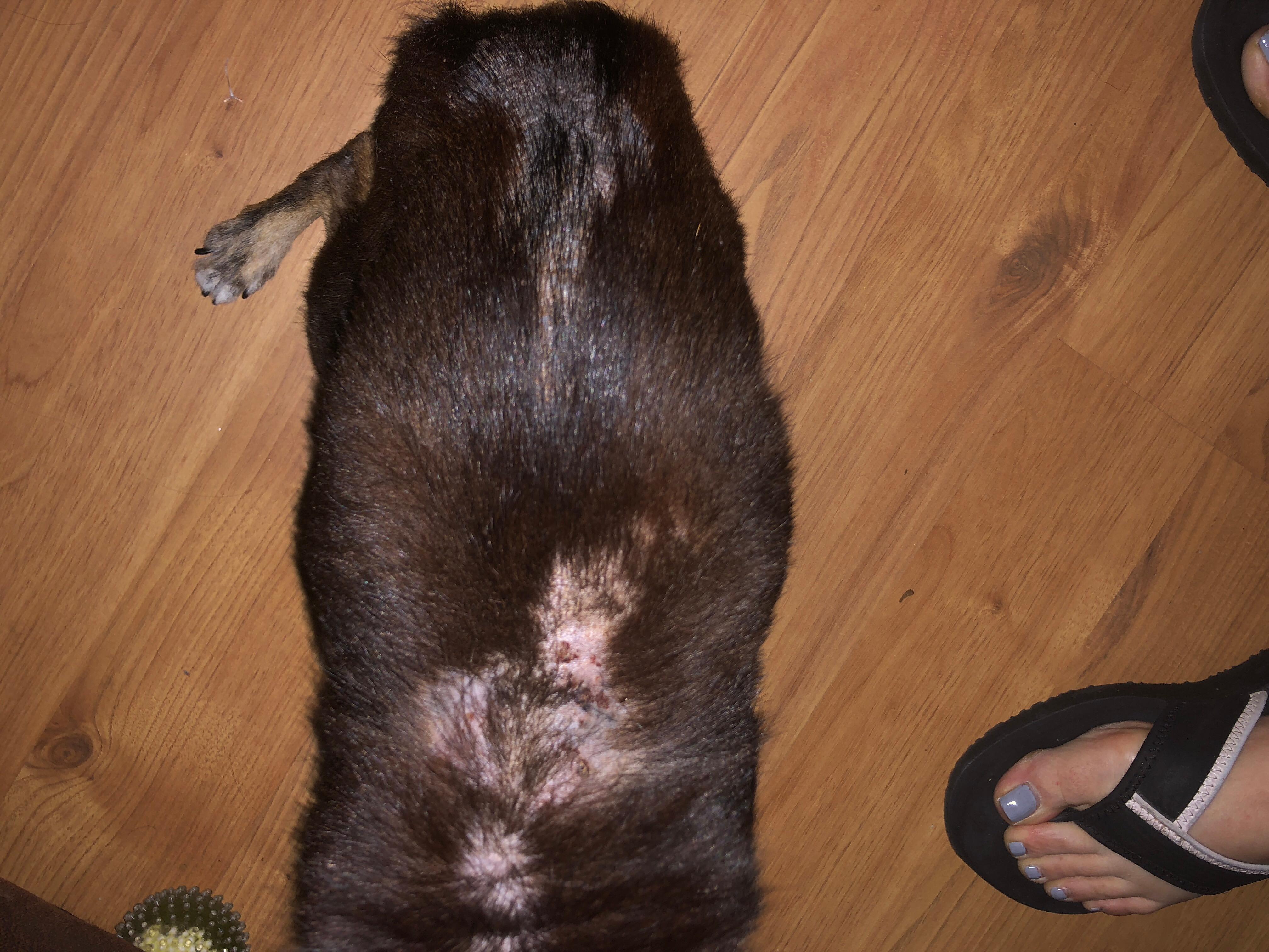 Question details sensitive content