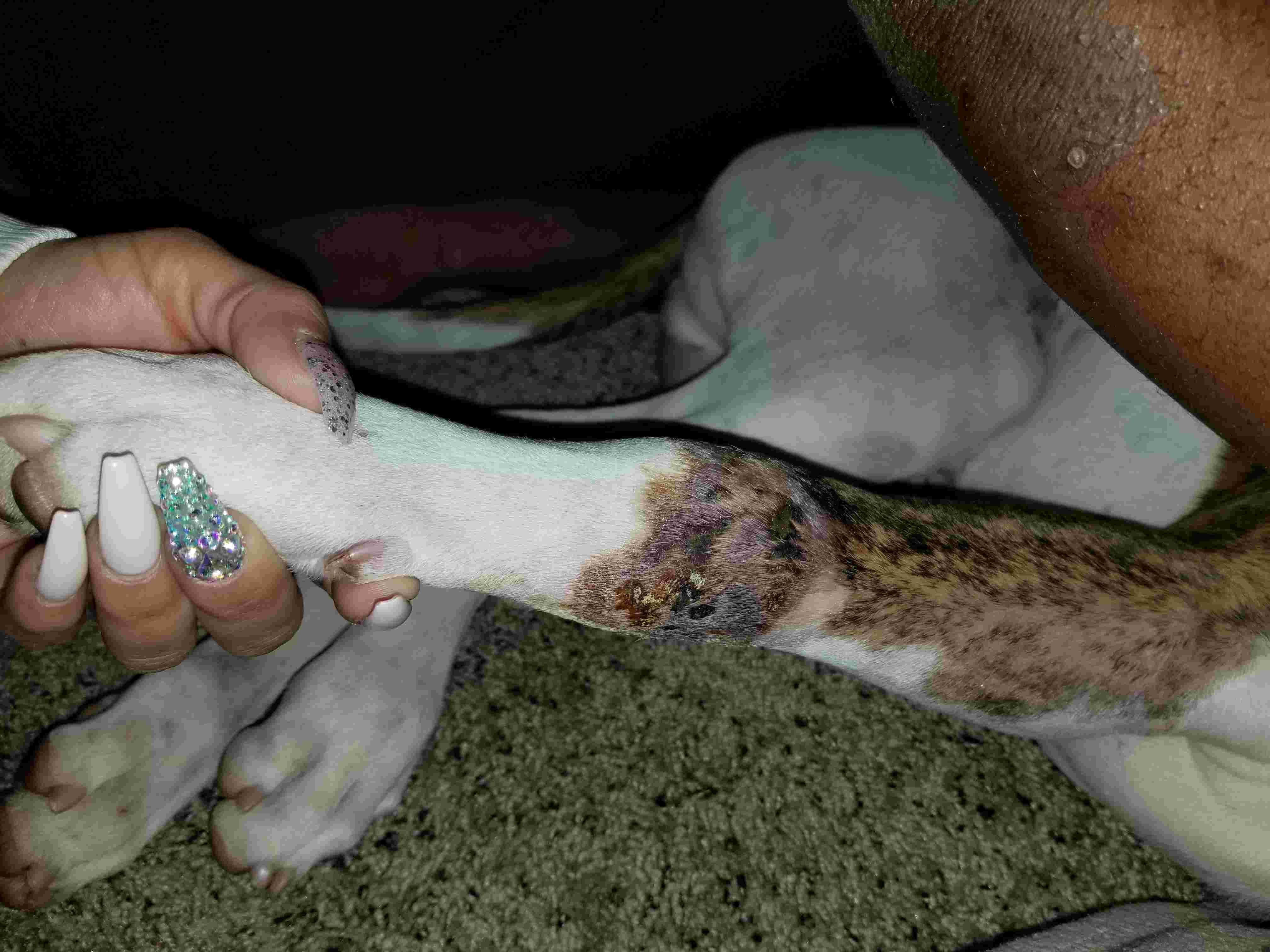 Question details sensitive content