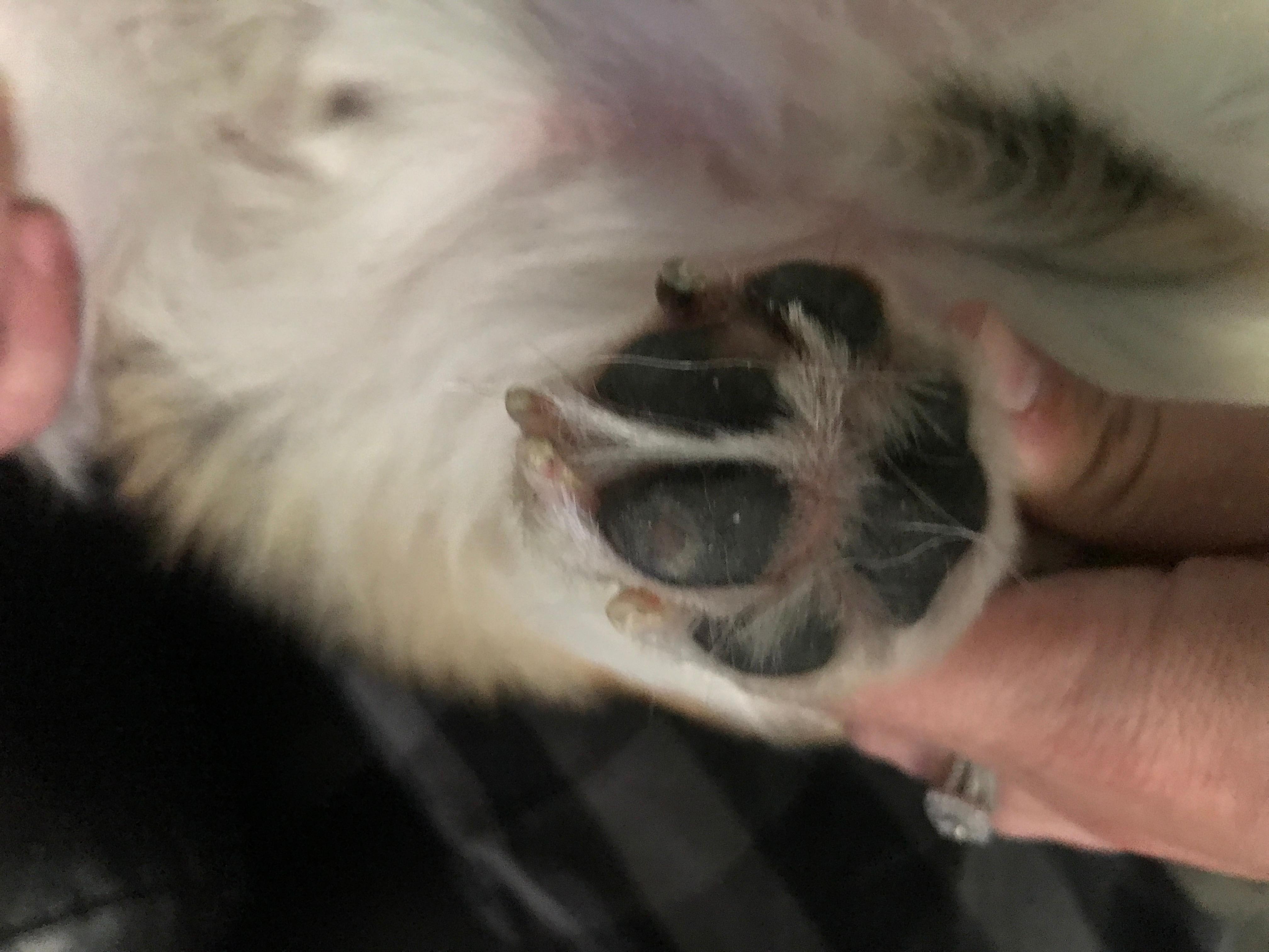 Question details sensitive content