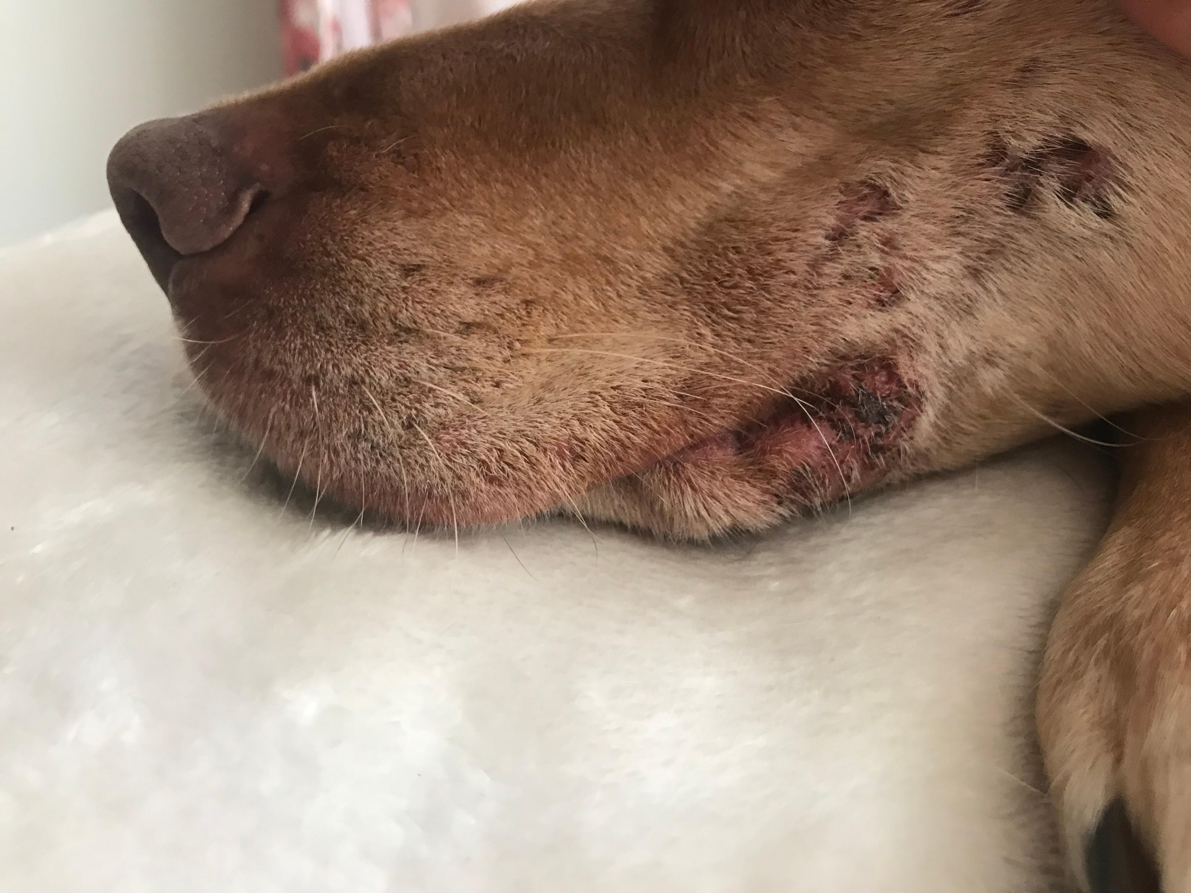 Question details sensitive content