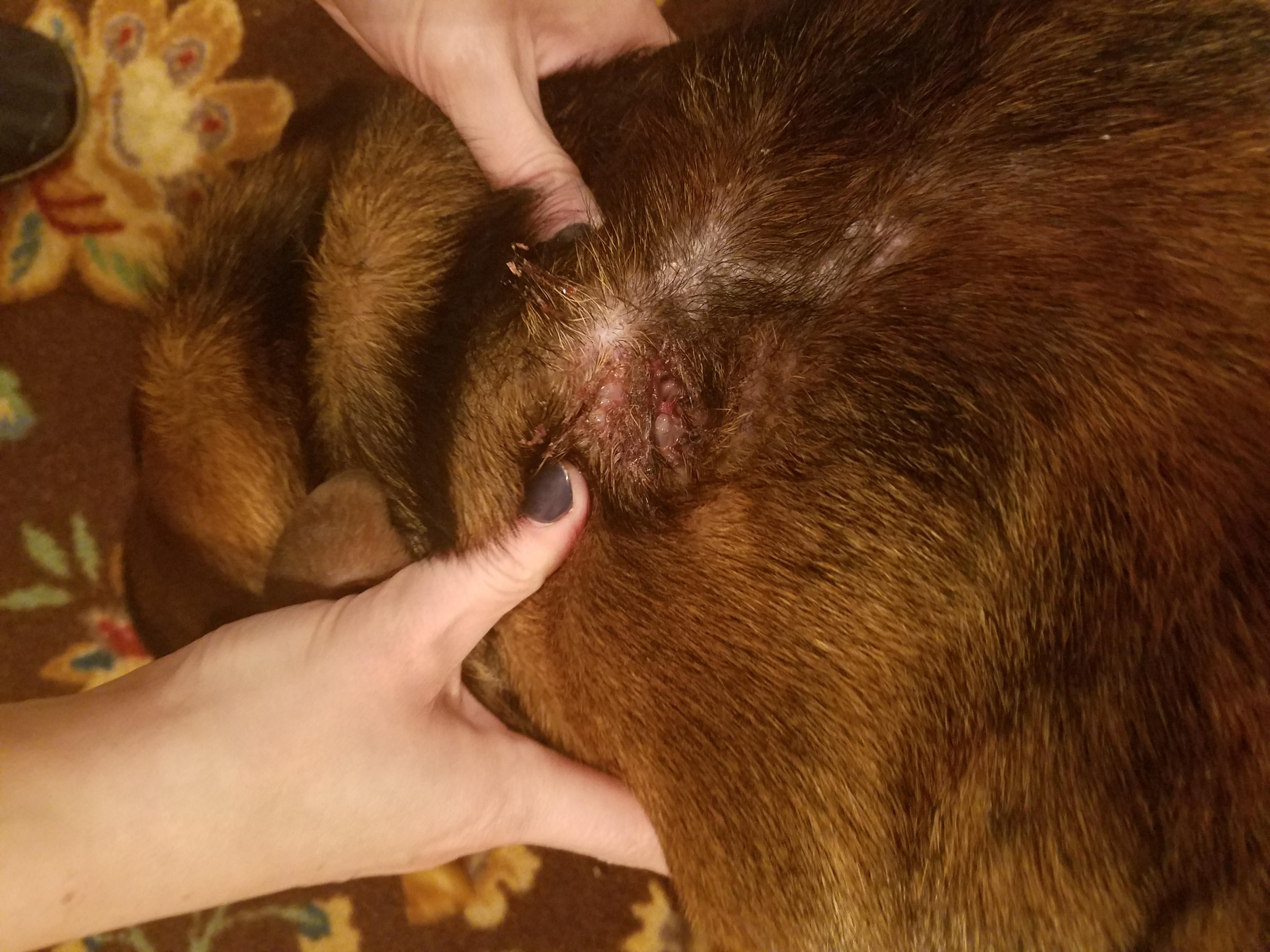 Question details sensitive content