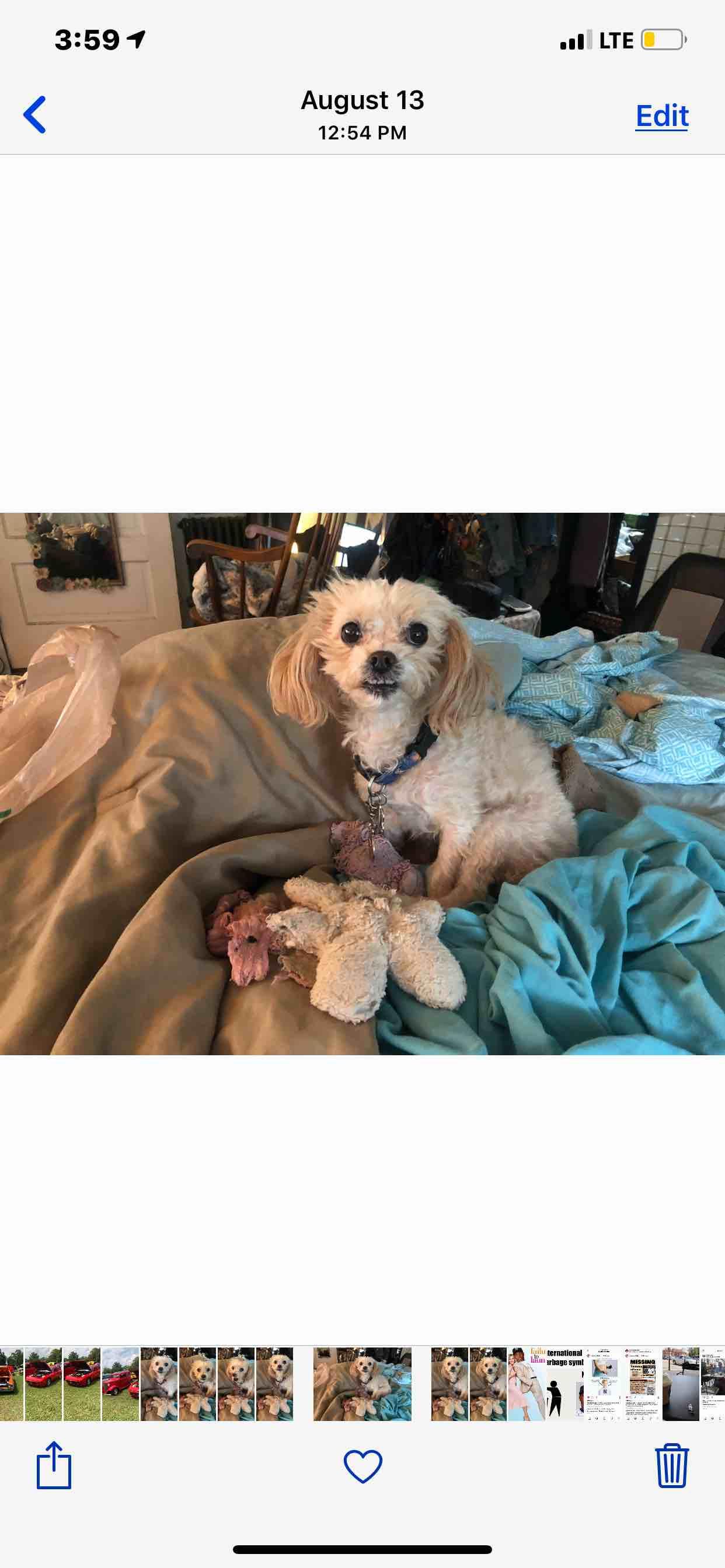 Question details sensitive content