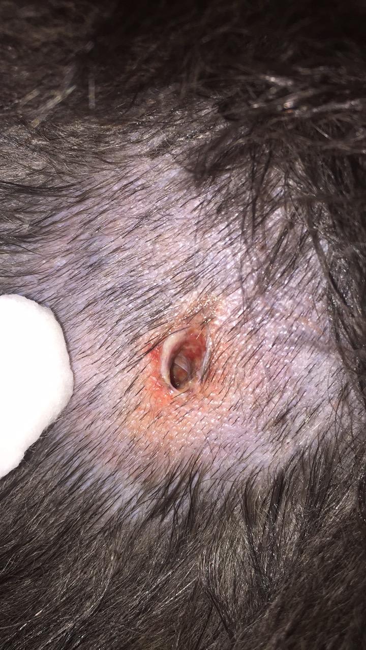 Question details sensitive content