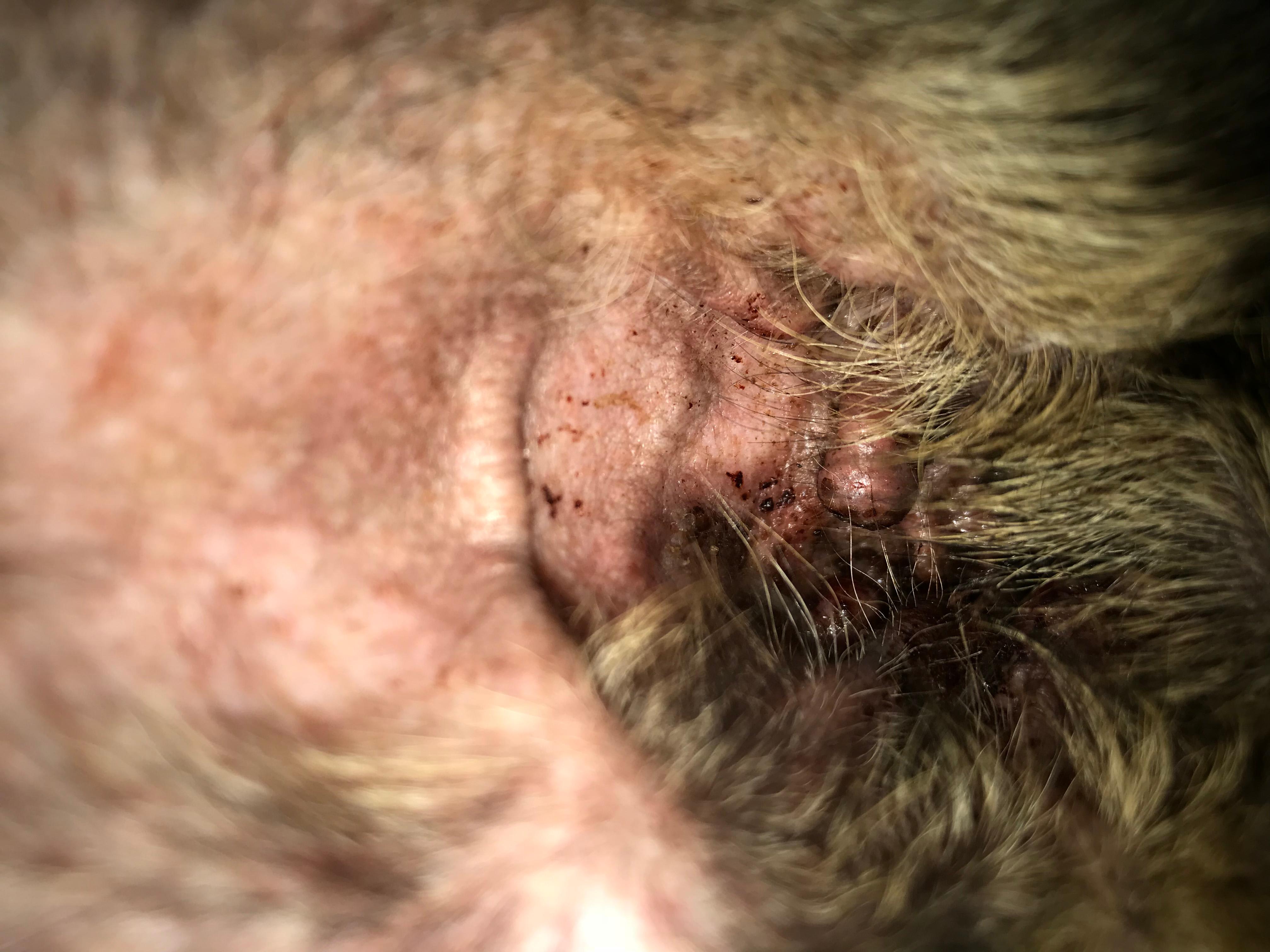 Question details sensitive content