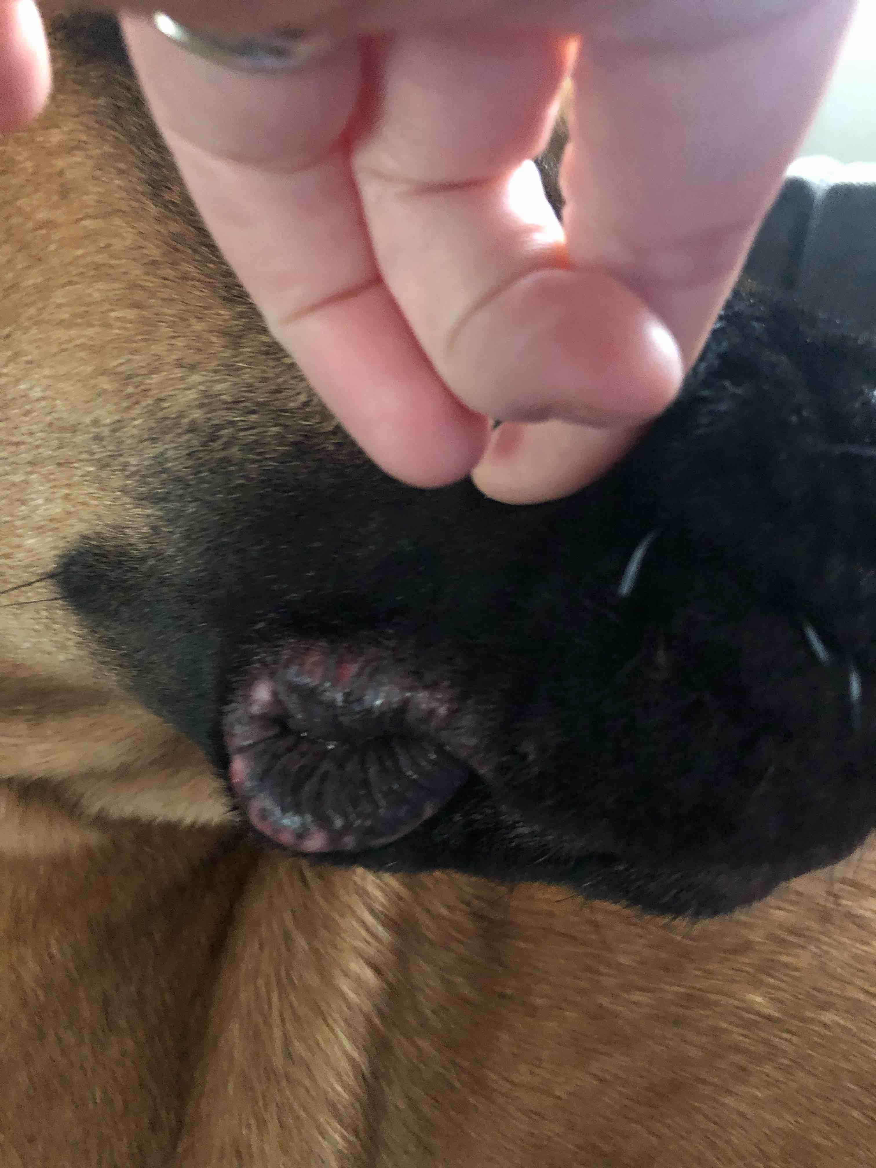 Question details sensitive content