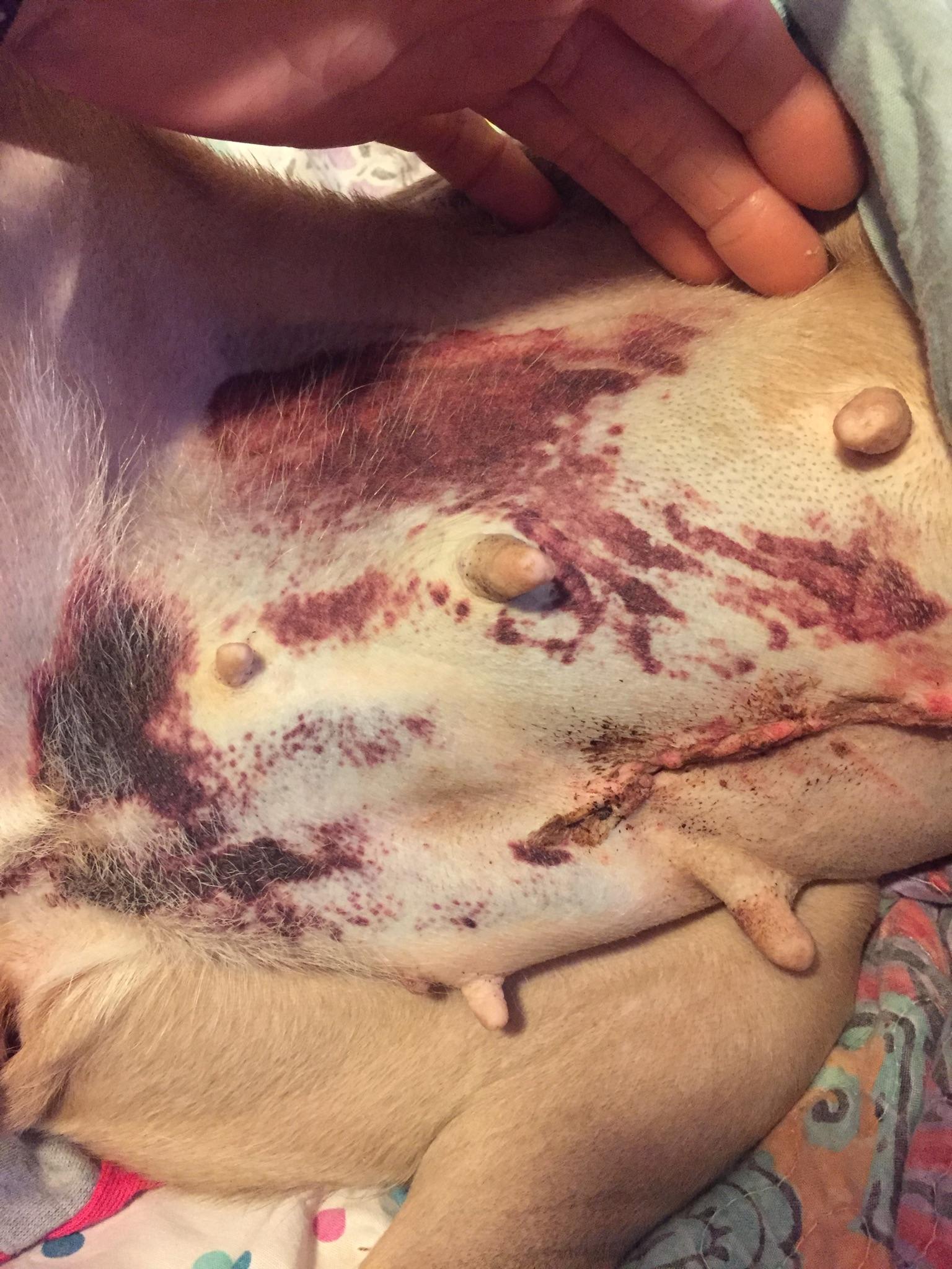 Question details sensitive content