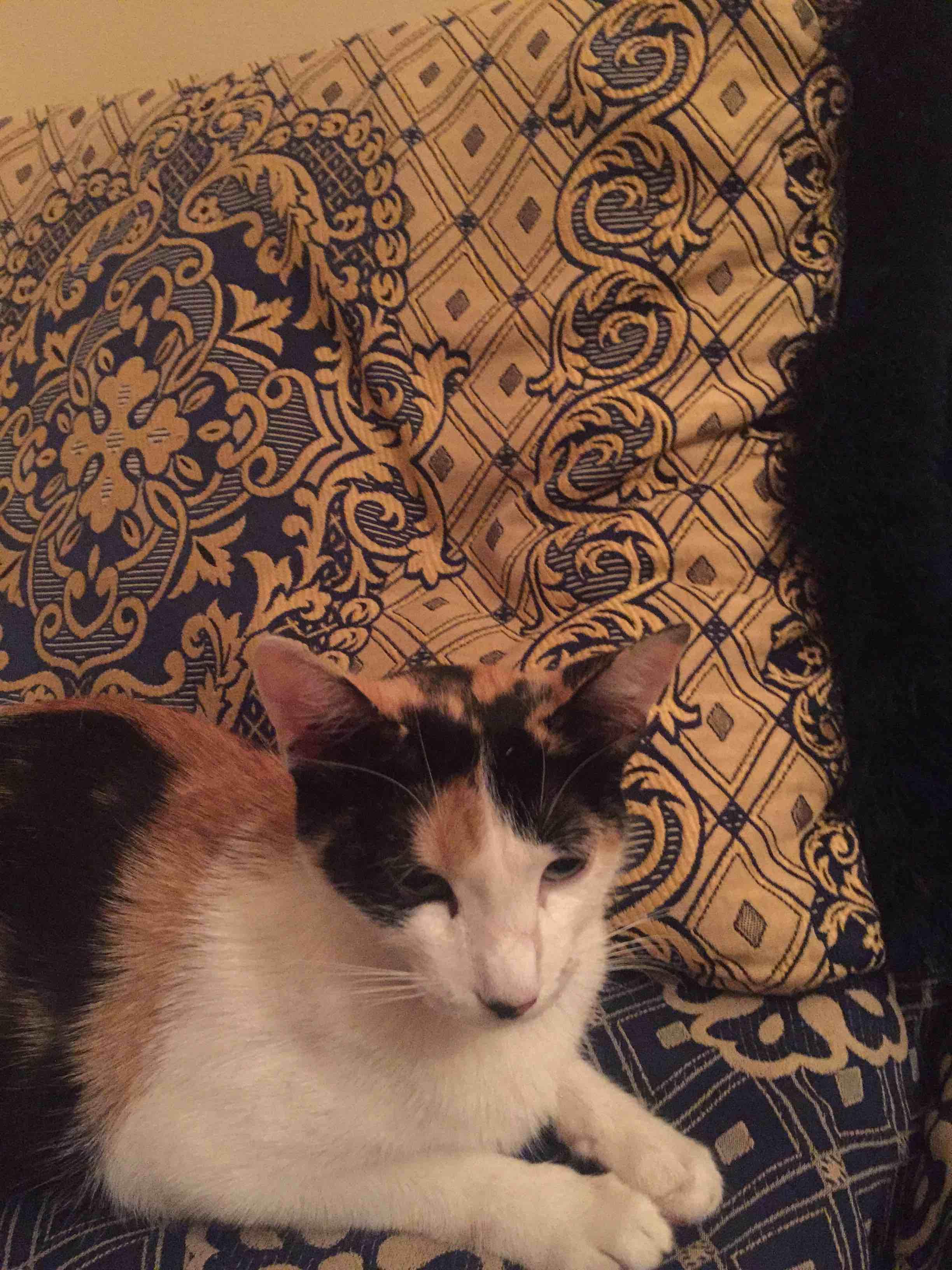 Question details sensitive content