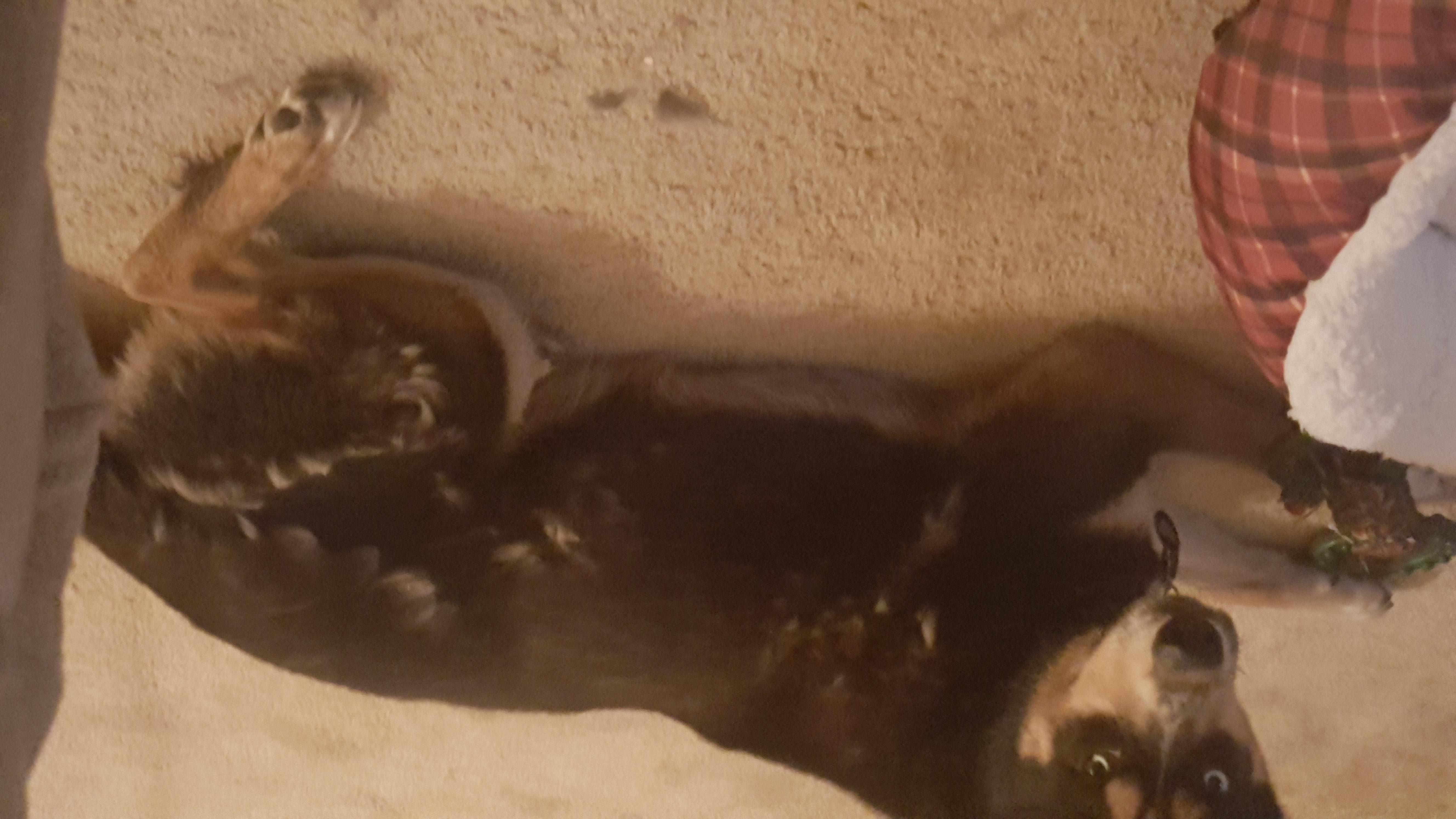 Question details sensitive content