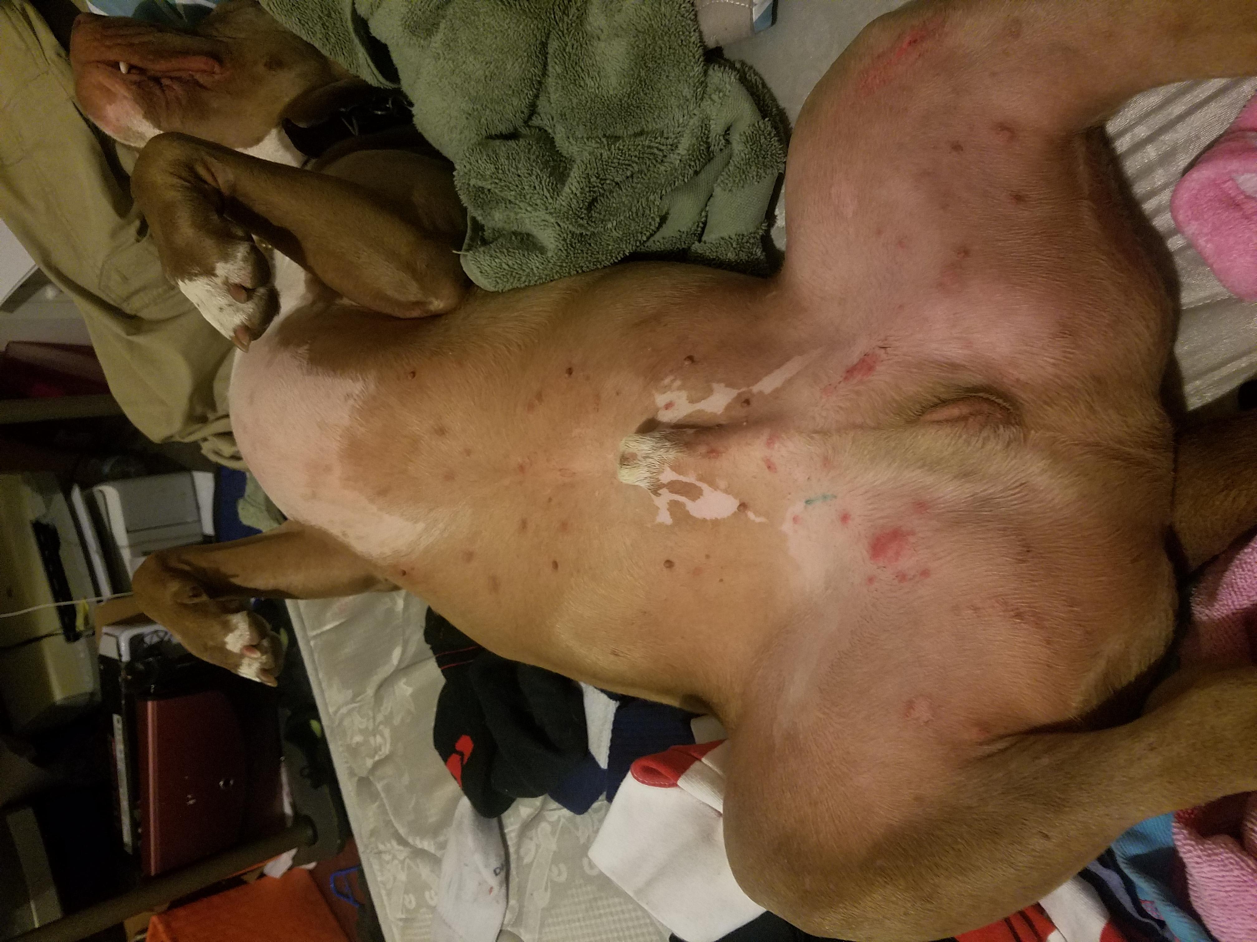 Question details sensitive content