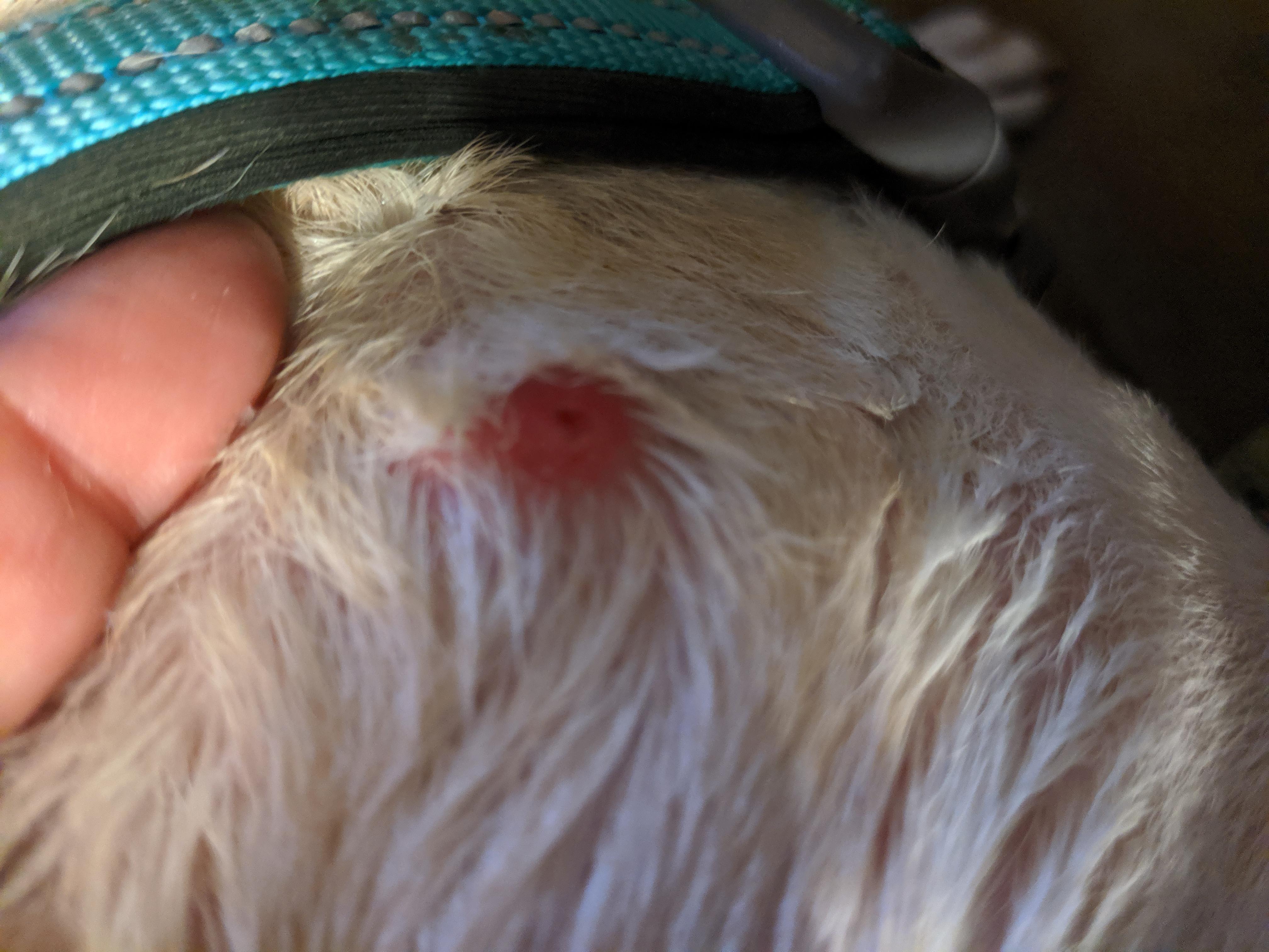 Question details sensitive content