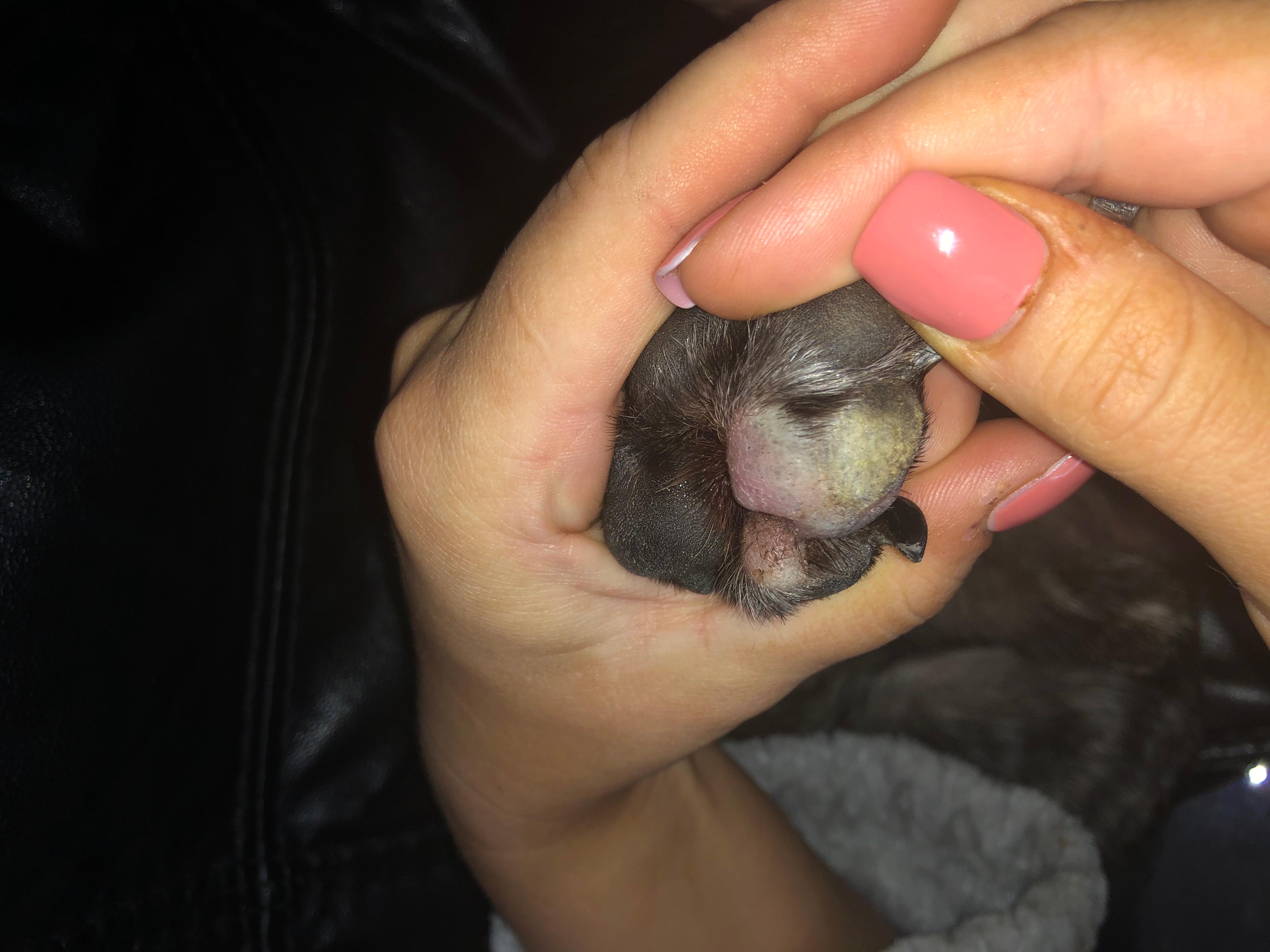 Question details sensitive content