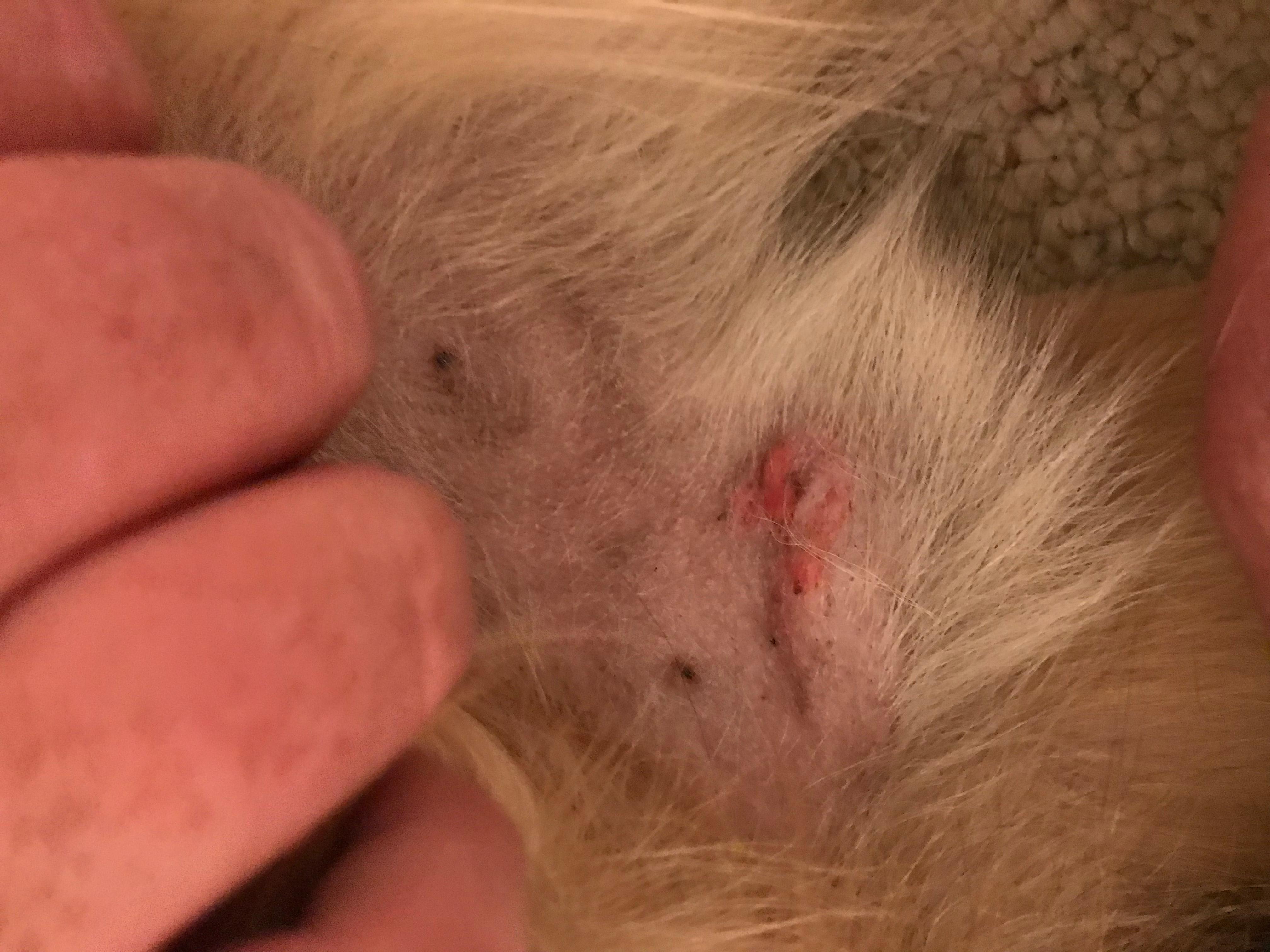 Question details sensitive content