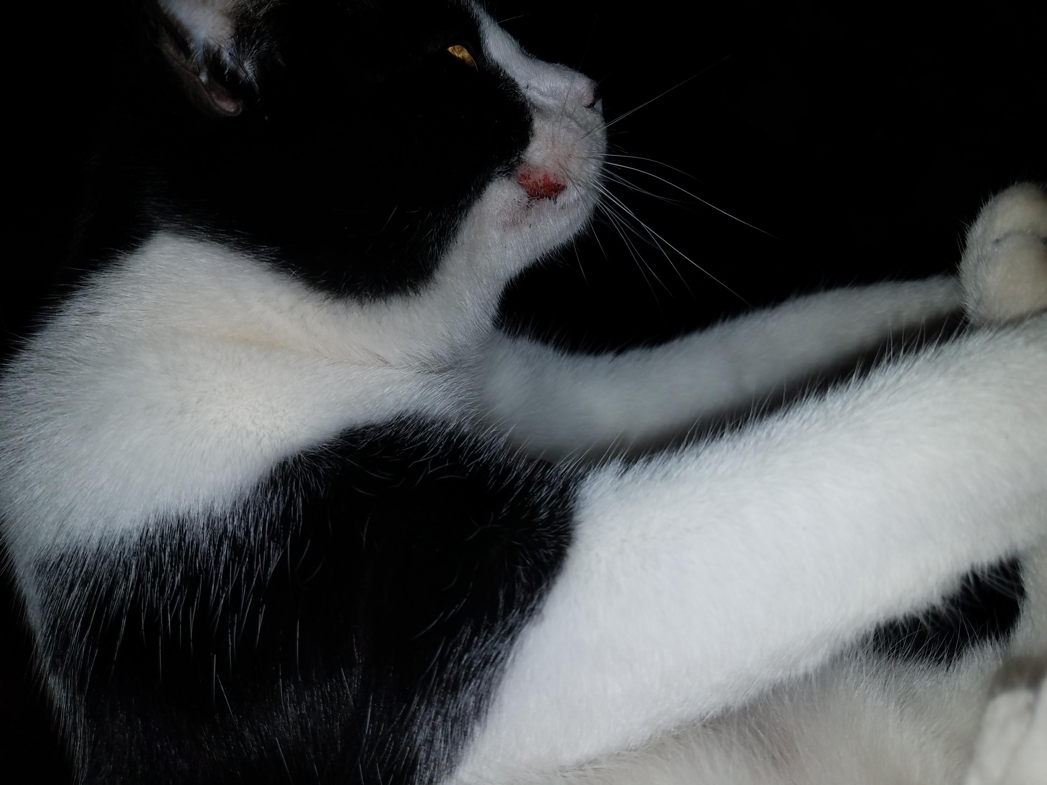 Question details sensitive content