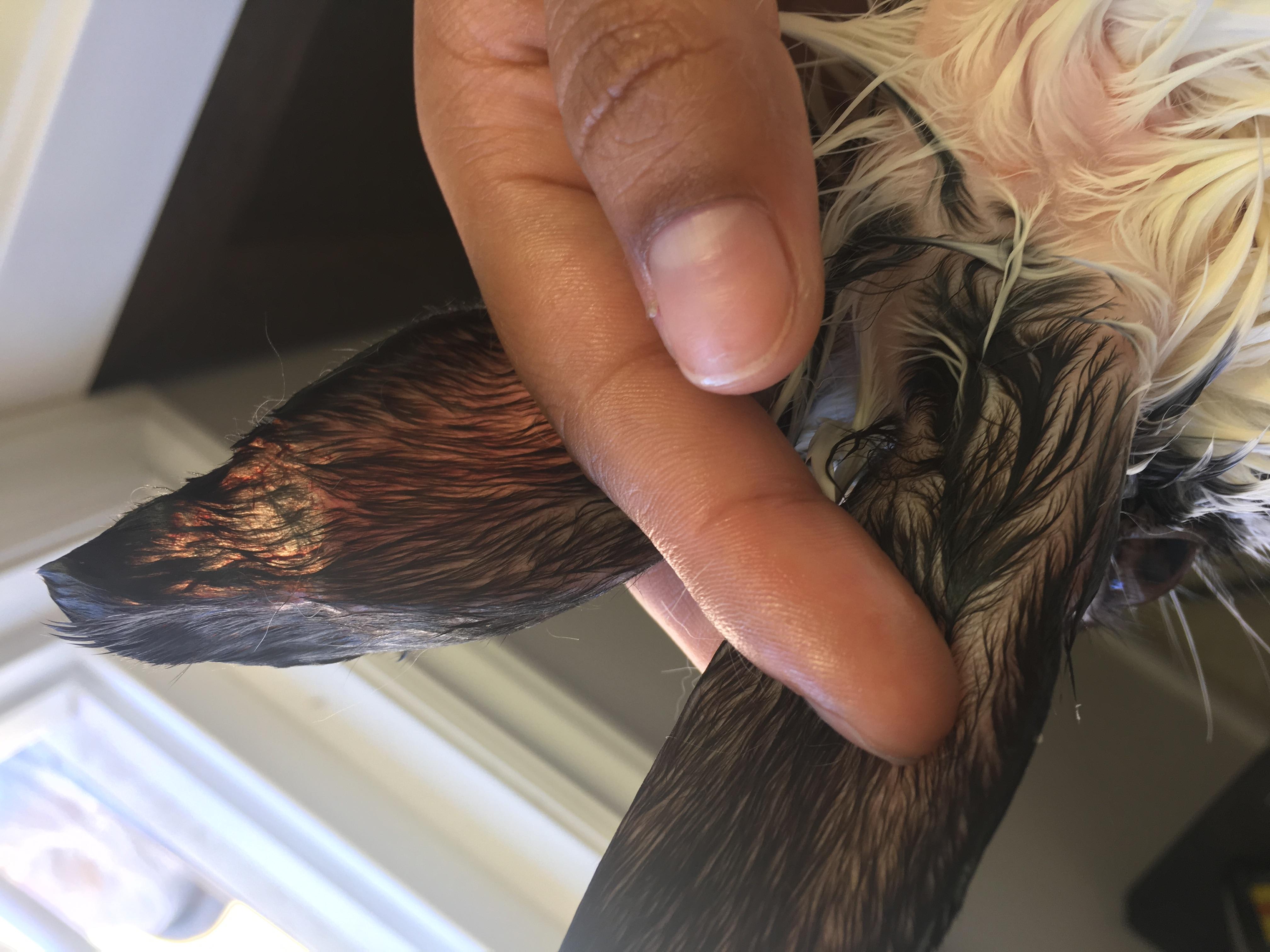 Question details sensitive content