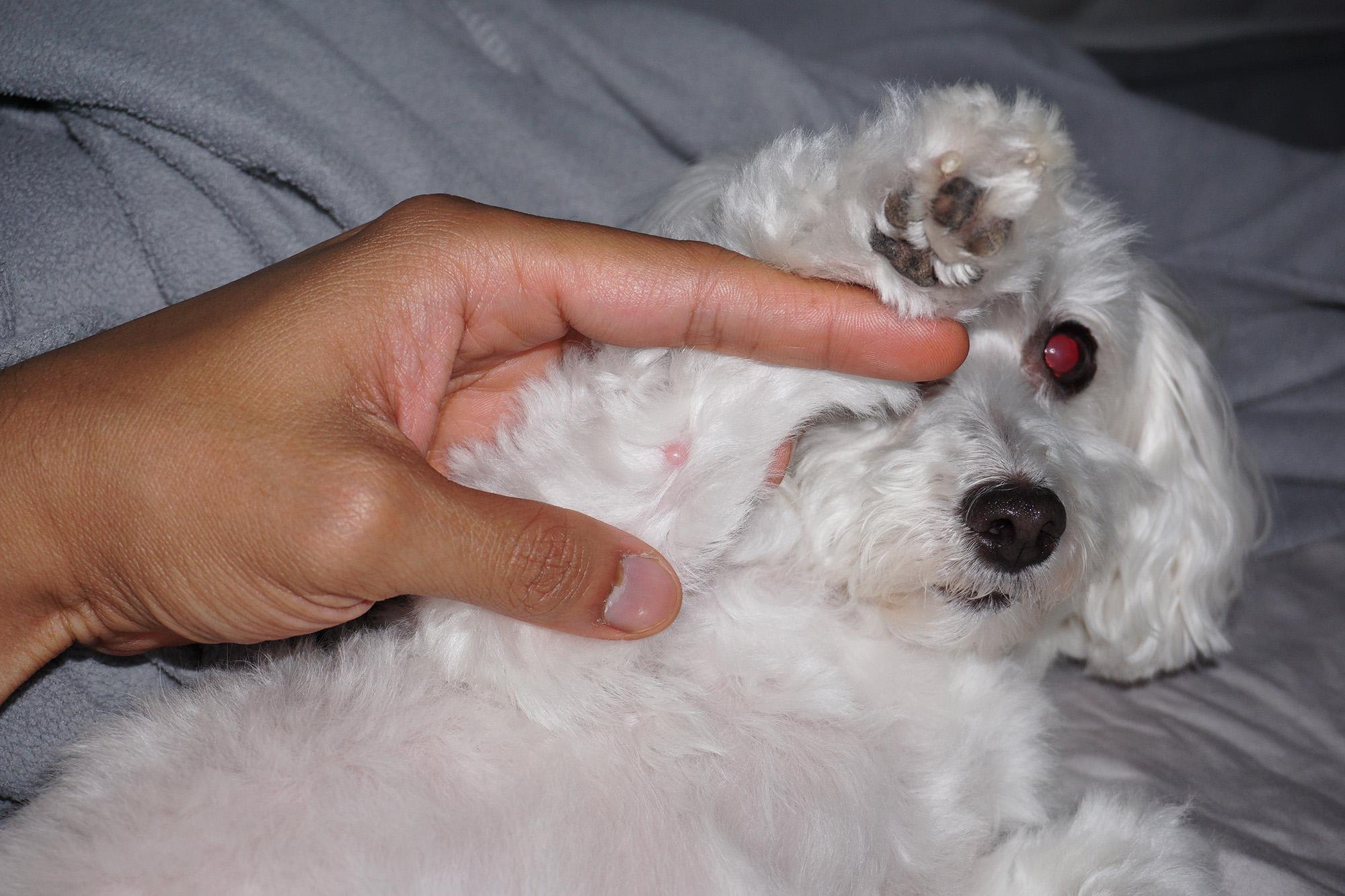 Question details sensitive content