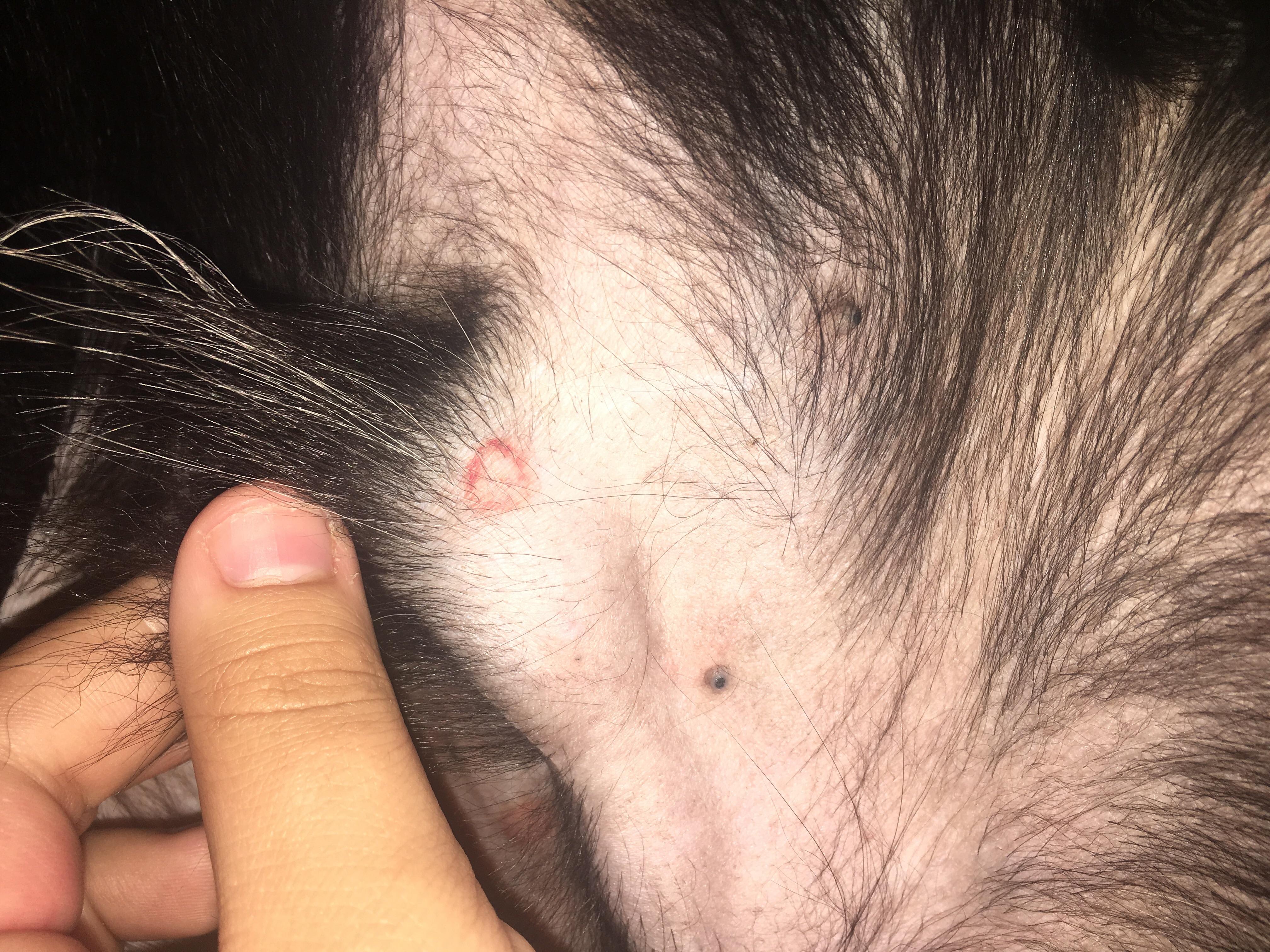 Question details sensitive content