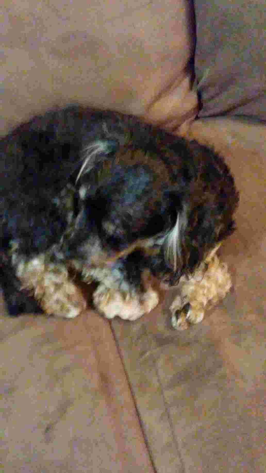 Question details sensitive content